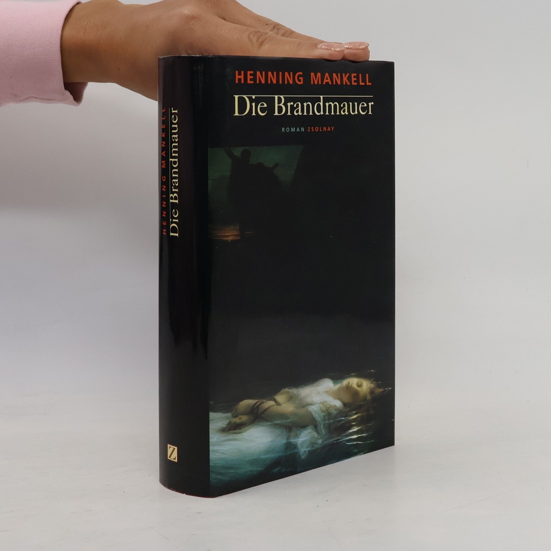 Die Brandmauer