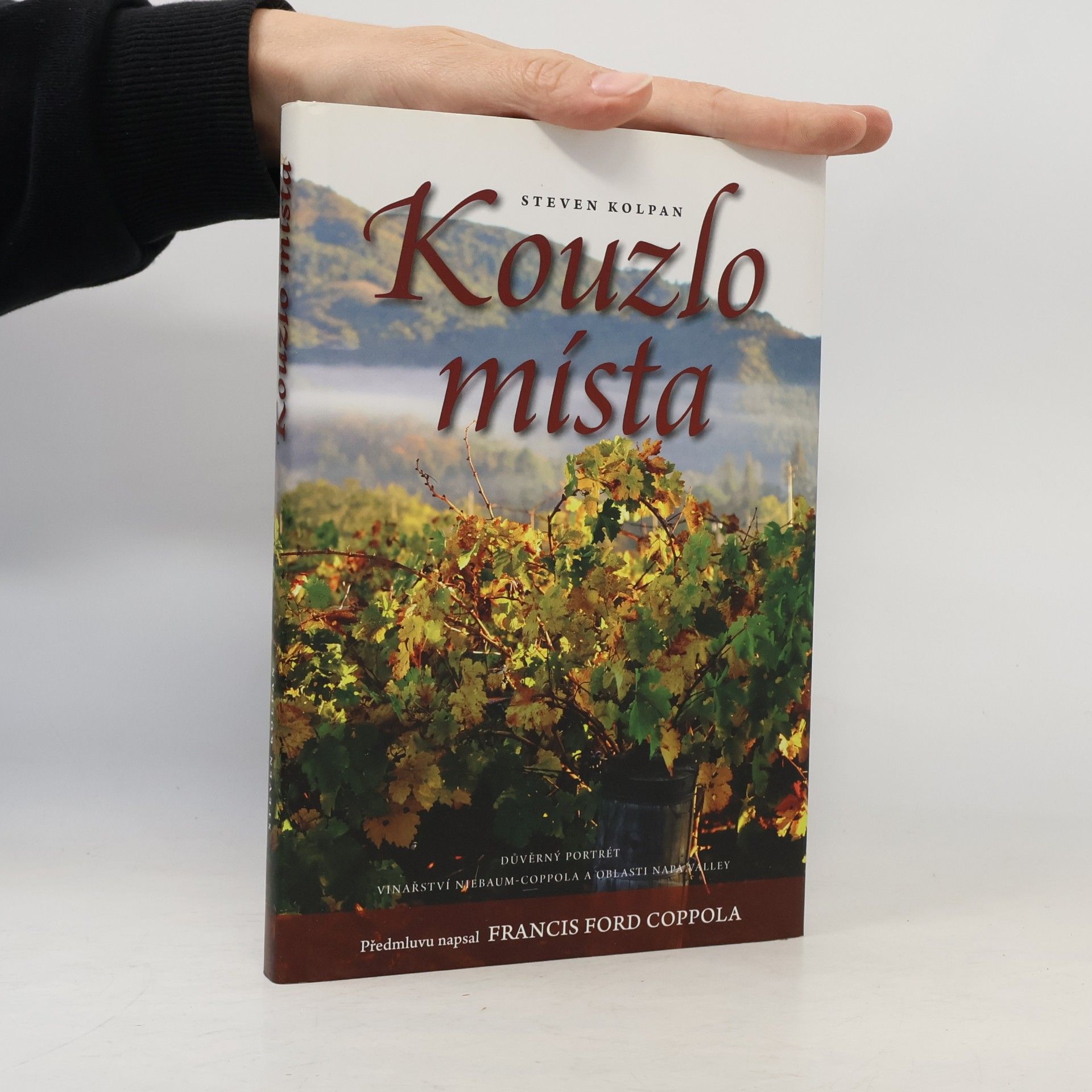 Steven Kolpan Kouzlo místa