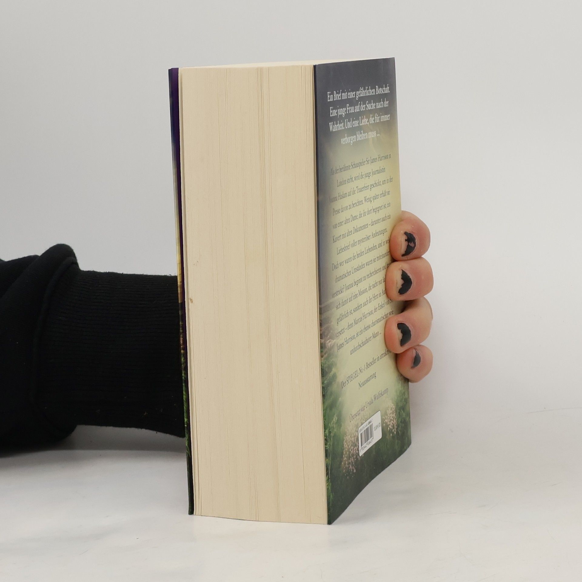 Lucinda Riley Der verbotene Liebesbrief