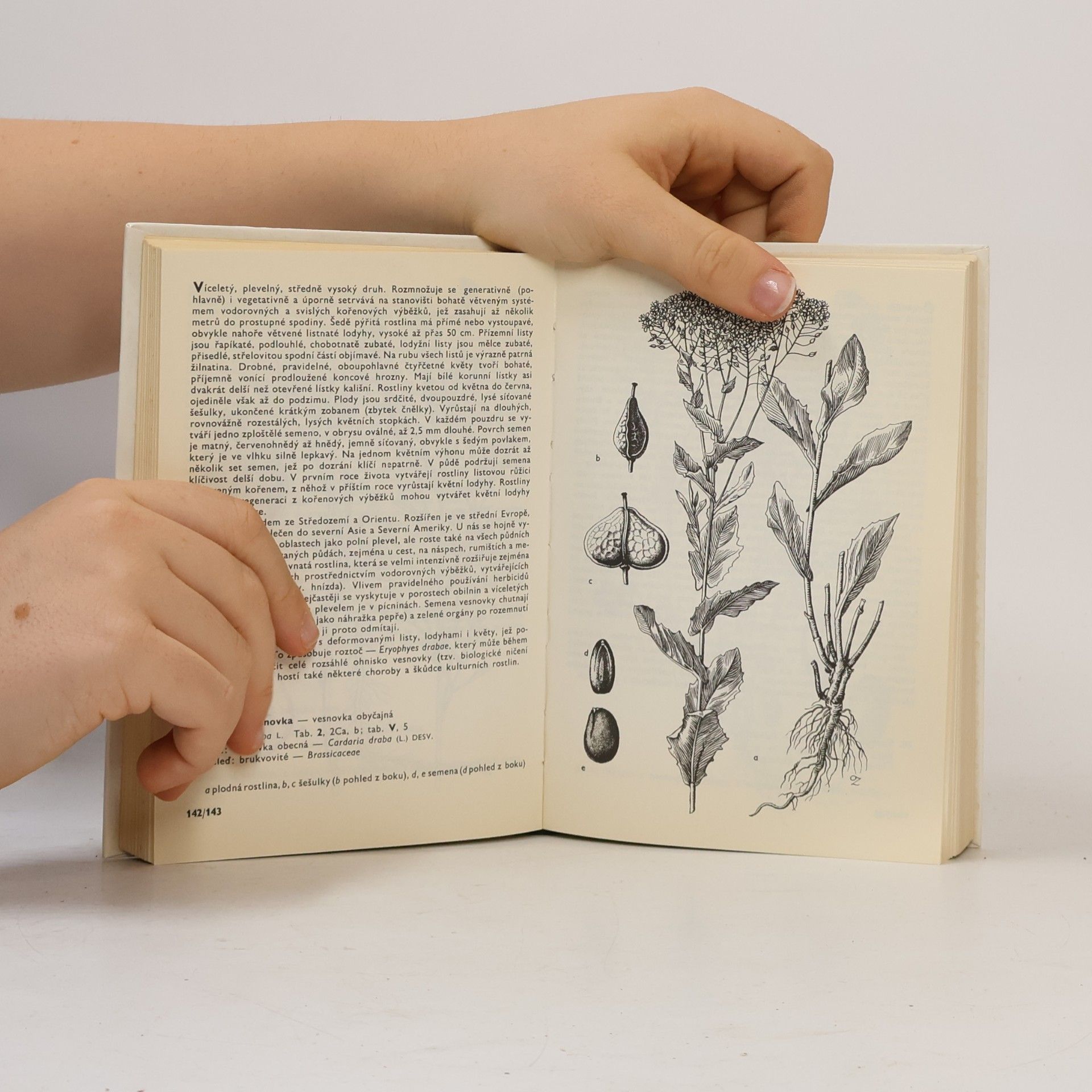František Hron Kapesní atlas. Rostliny polí a zahrad