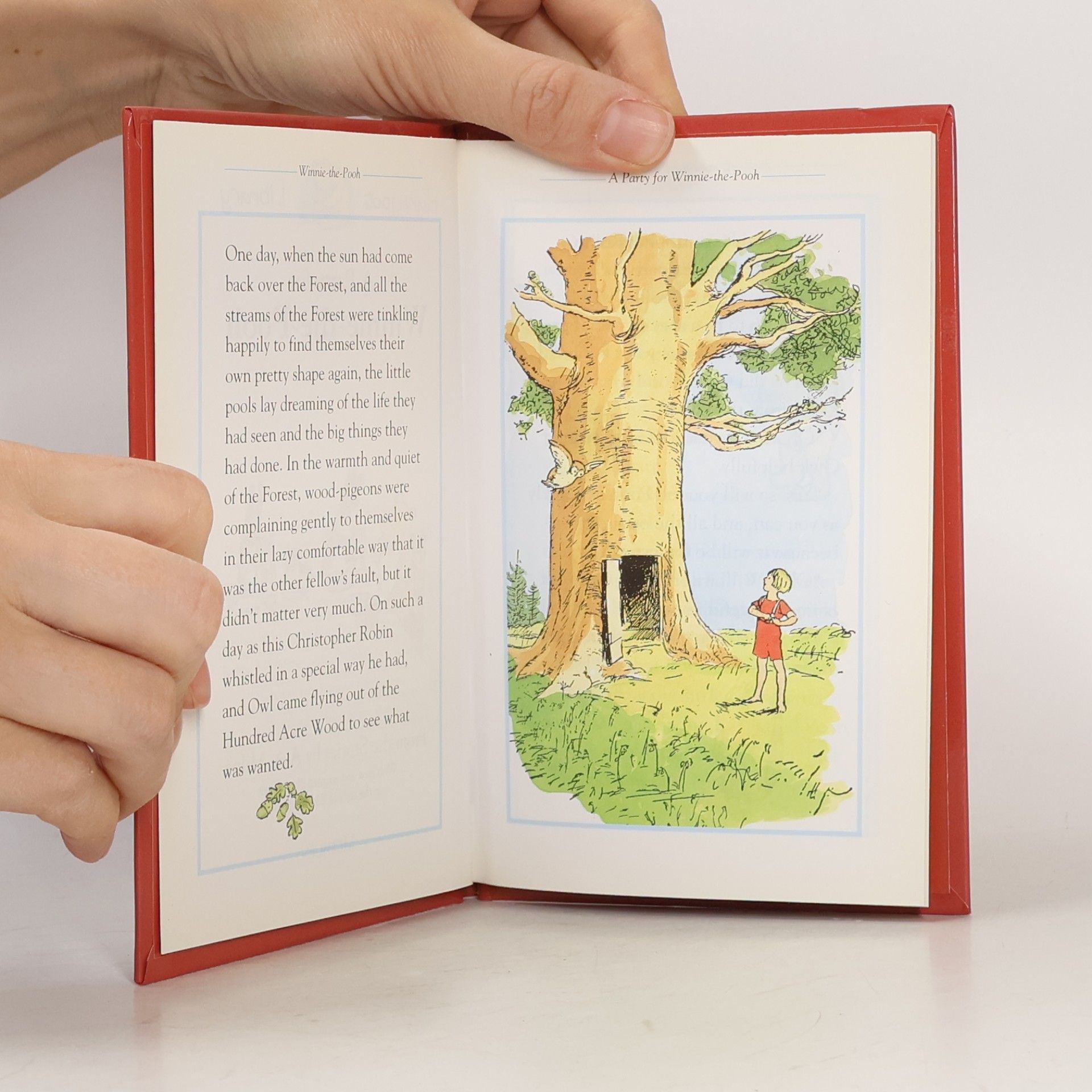 A.A. Milne Hunnypot Library - 10: A Party for Winnie-the-Pooh