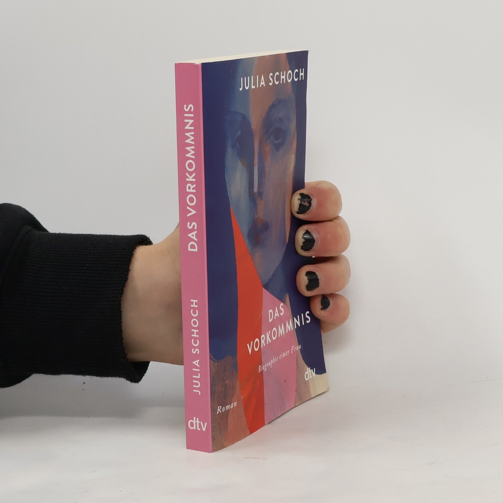 Julia Schoch Das Vorkommnis / Biographie einer Frau Bd.1