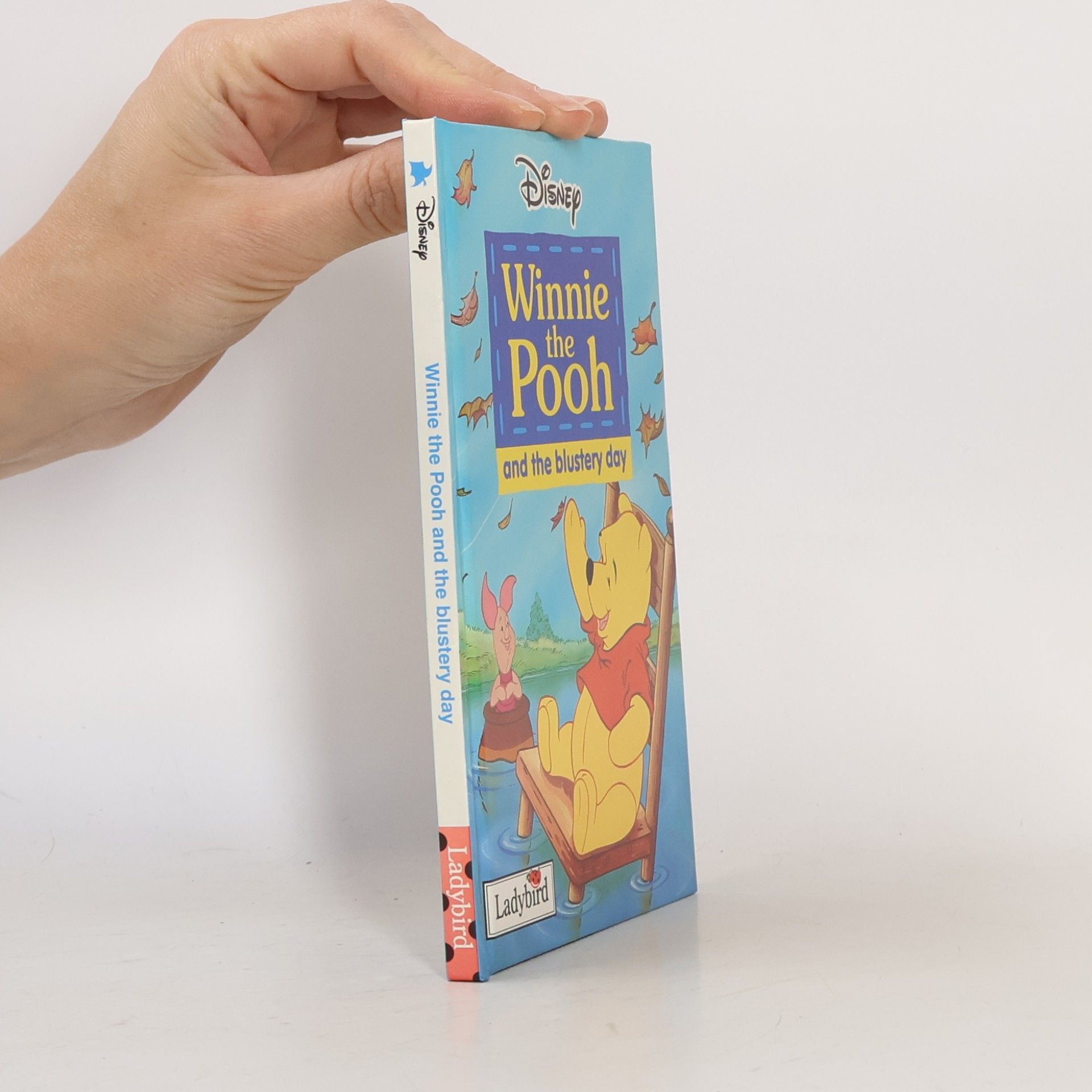 Walt Disney Winnie the Pooh and the Blustery Day