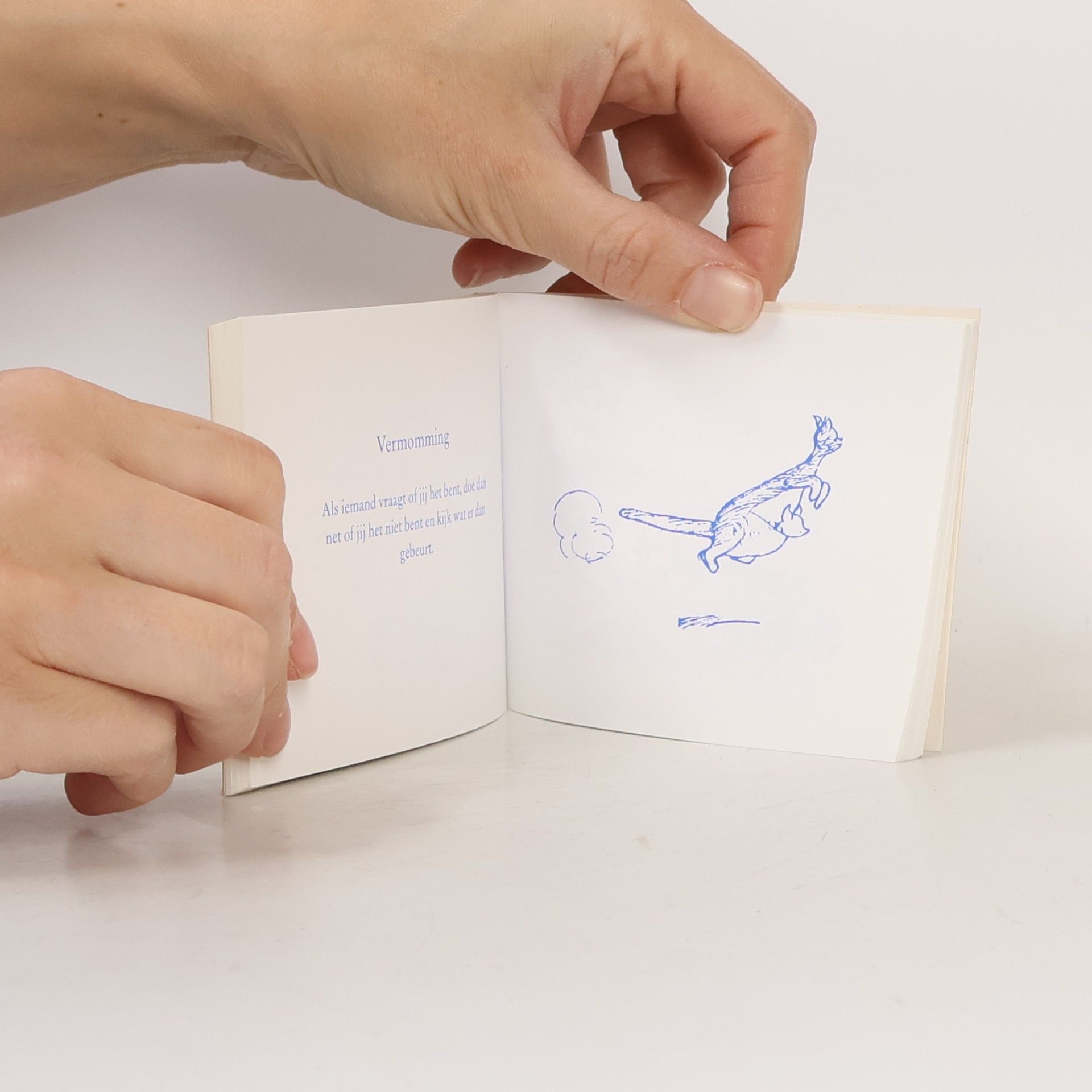 Winnie-de-Poeh, het kleine Boek van Wijsheid