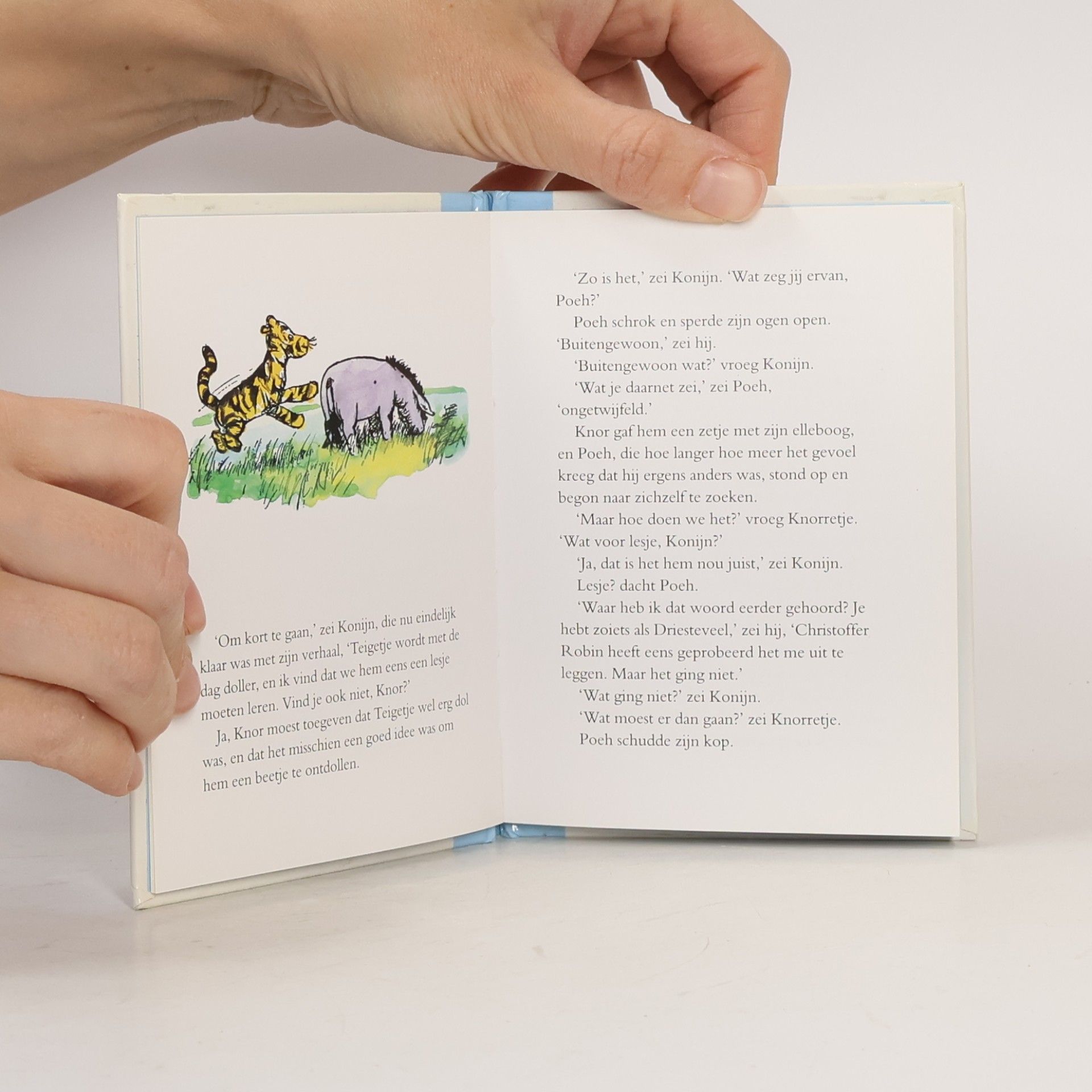 A.A. Milne Een Winnie-de-Poeh verhaal - 16: Teigetje wordt ontdold