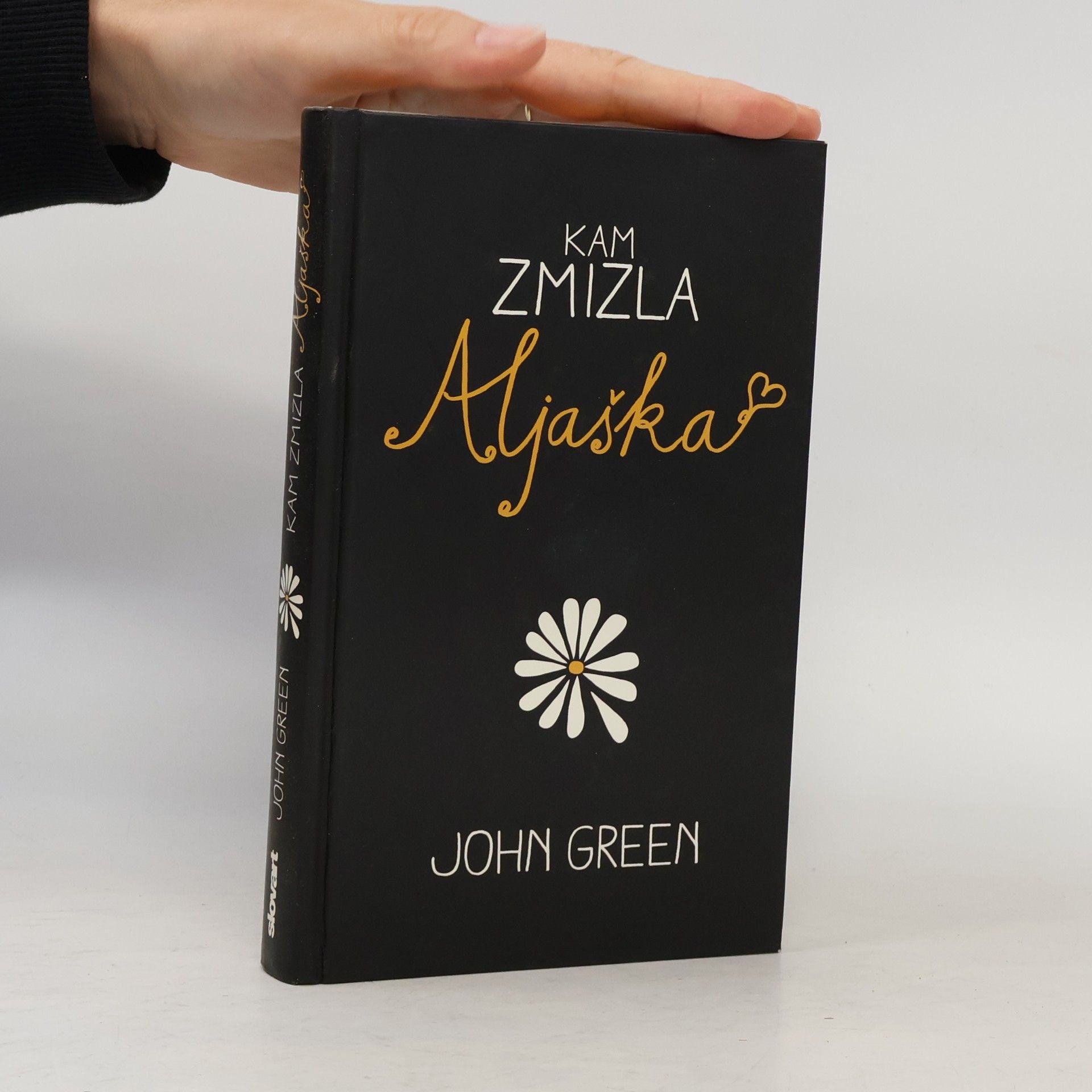 John Green Kam zmizla Aljaška