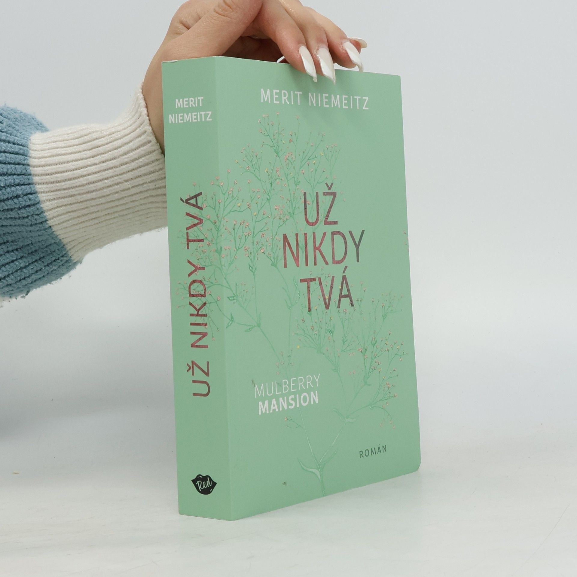 Merit Niemeitz Už nikdy tvá