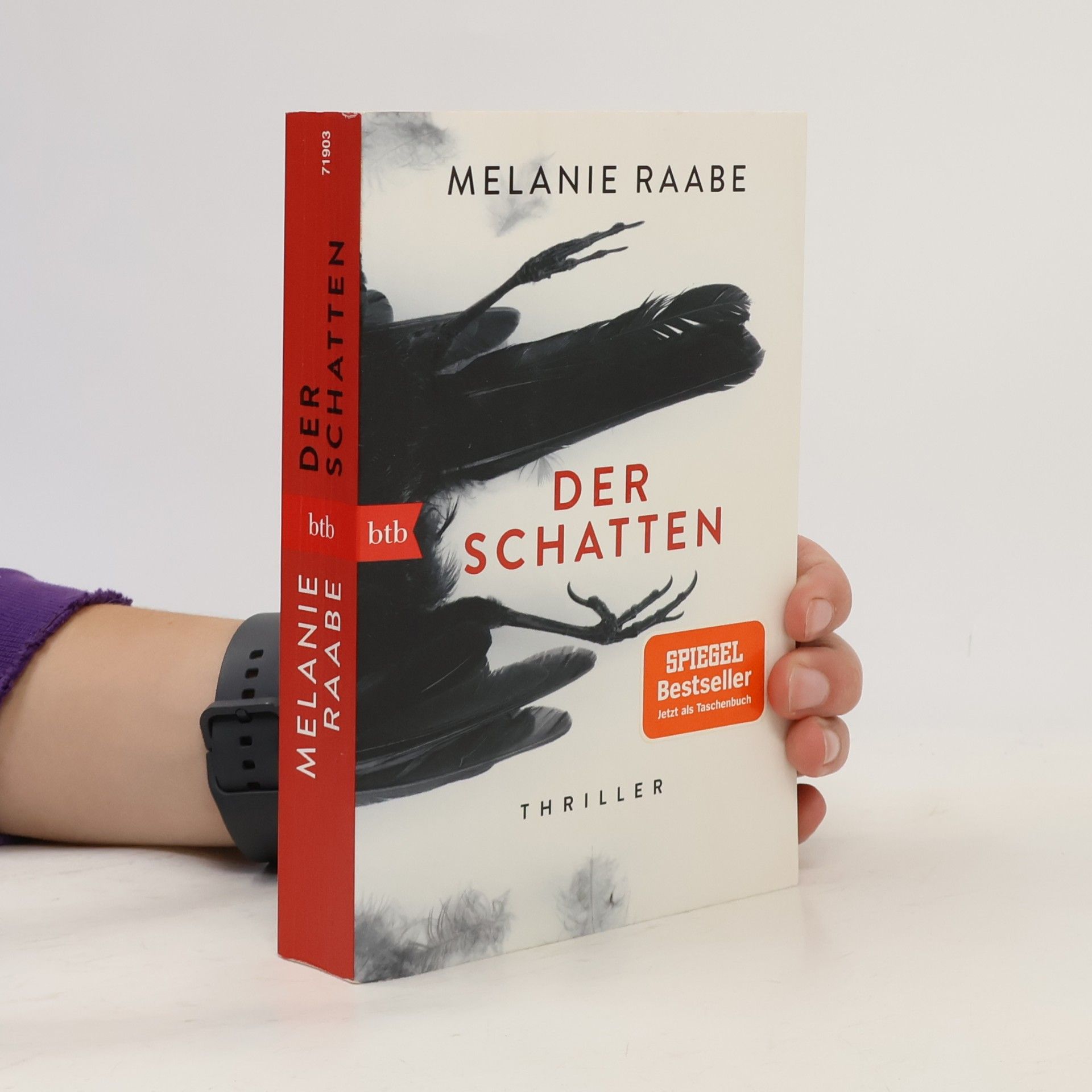 Melanie Raabe Der Schatten