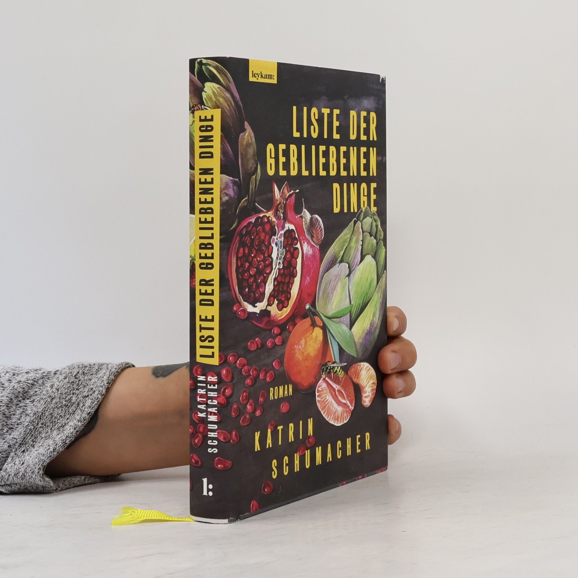 Katrin Schumacher Liste der gebliebenen Dinge
