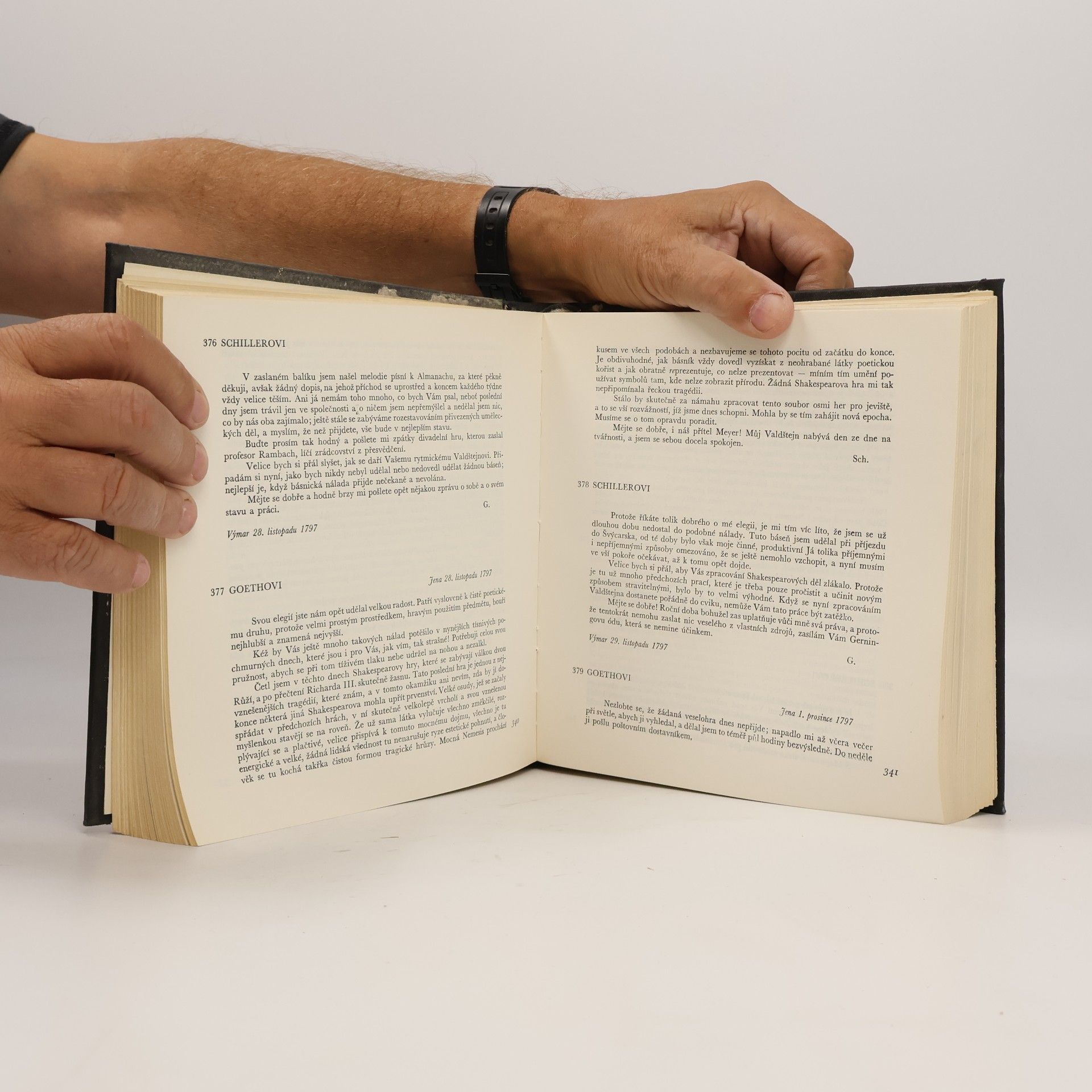 Johann Wolfgang von Goethe Goethe-Schiller. Korespondence