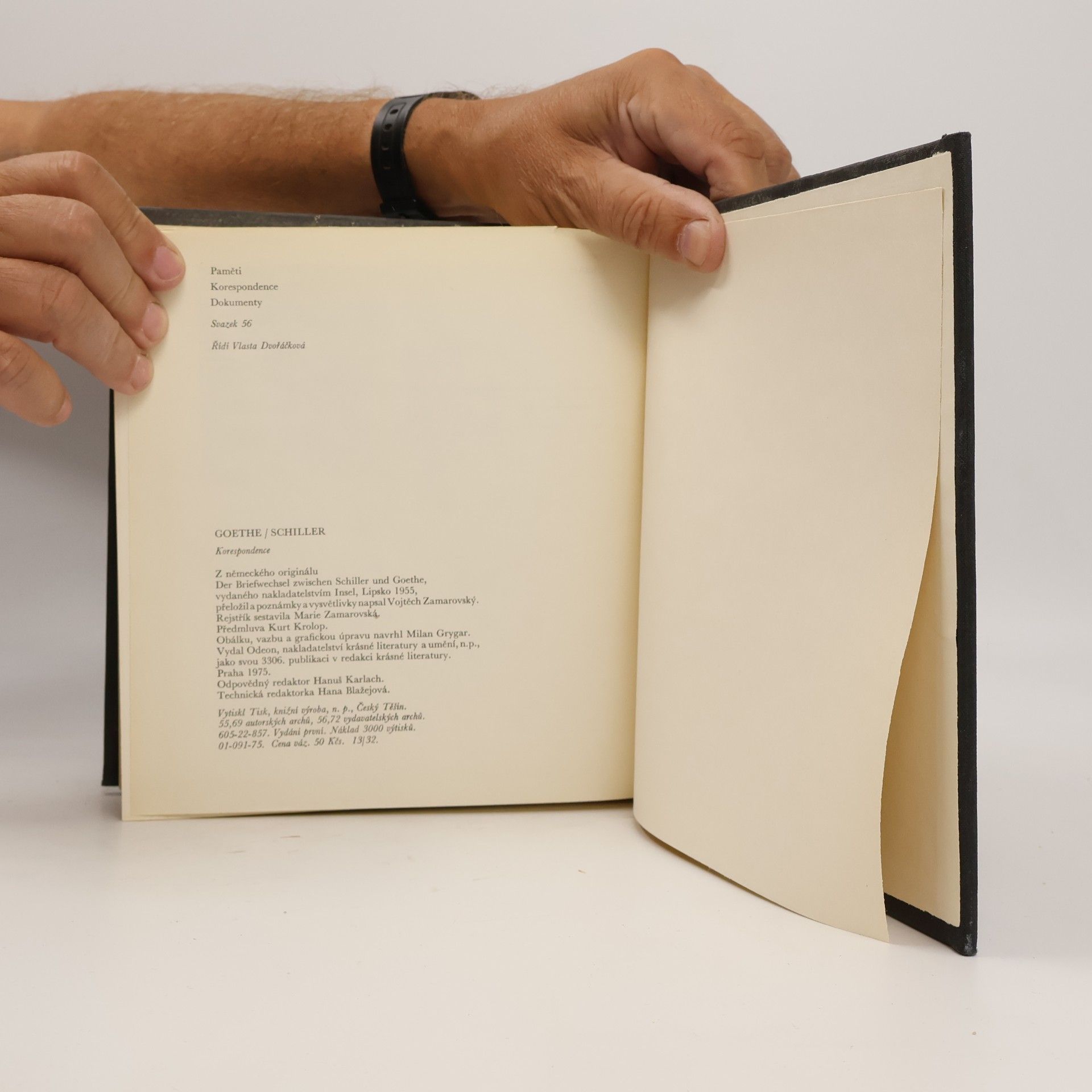 Johann Wolfgang von Goethe Goethe-Schiller. Korespondence