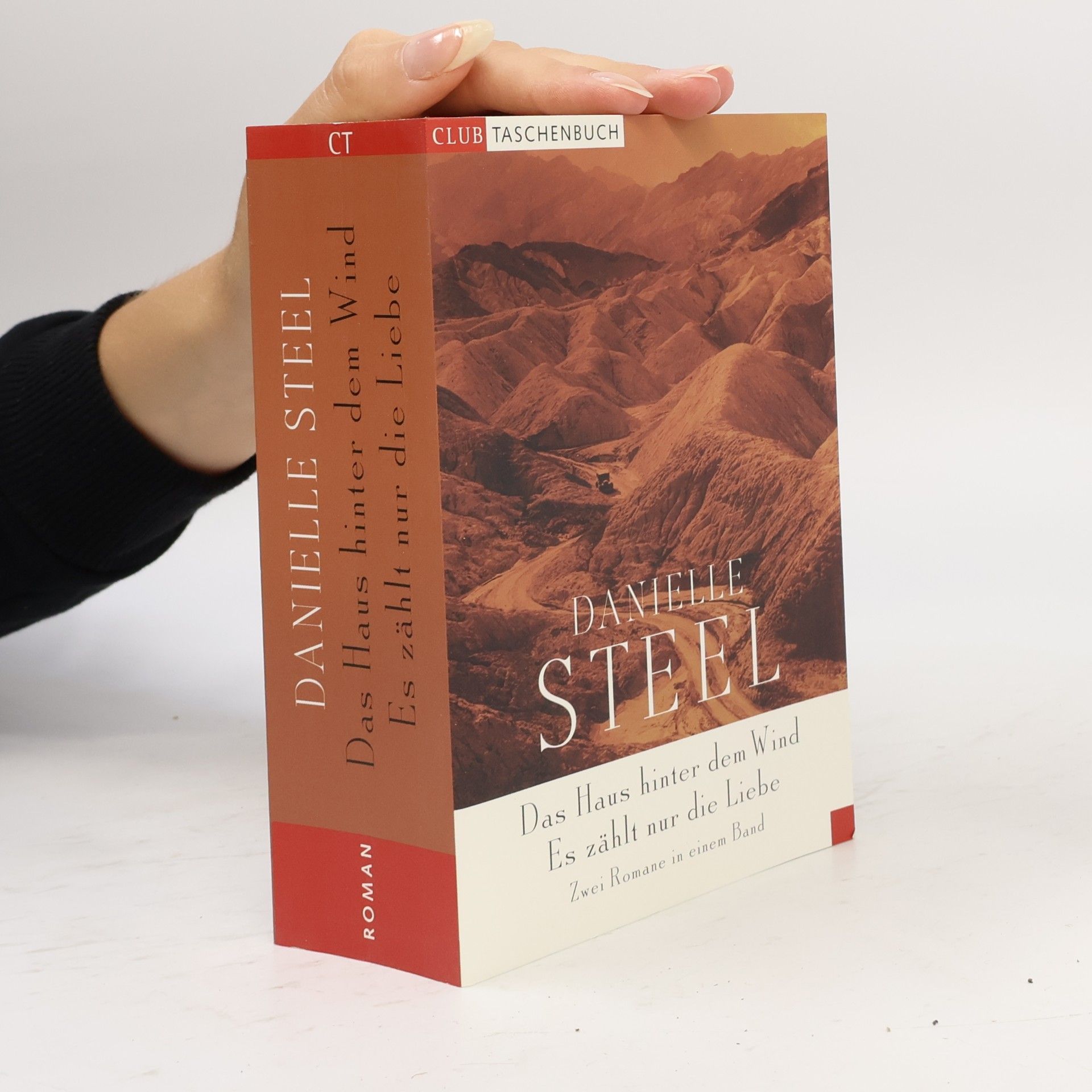 Danielle Steel Das Haus hinter dem Wind, Es zählt nur die Liebe