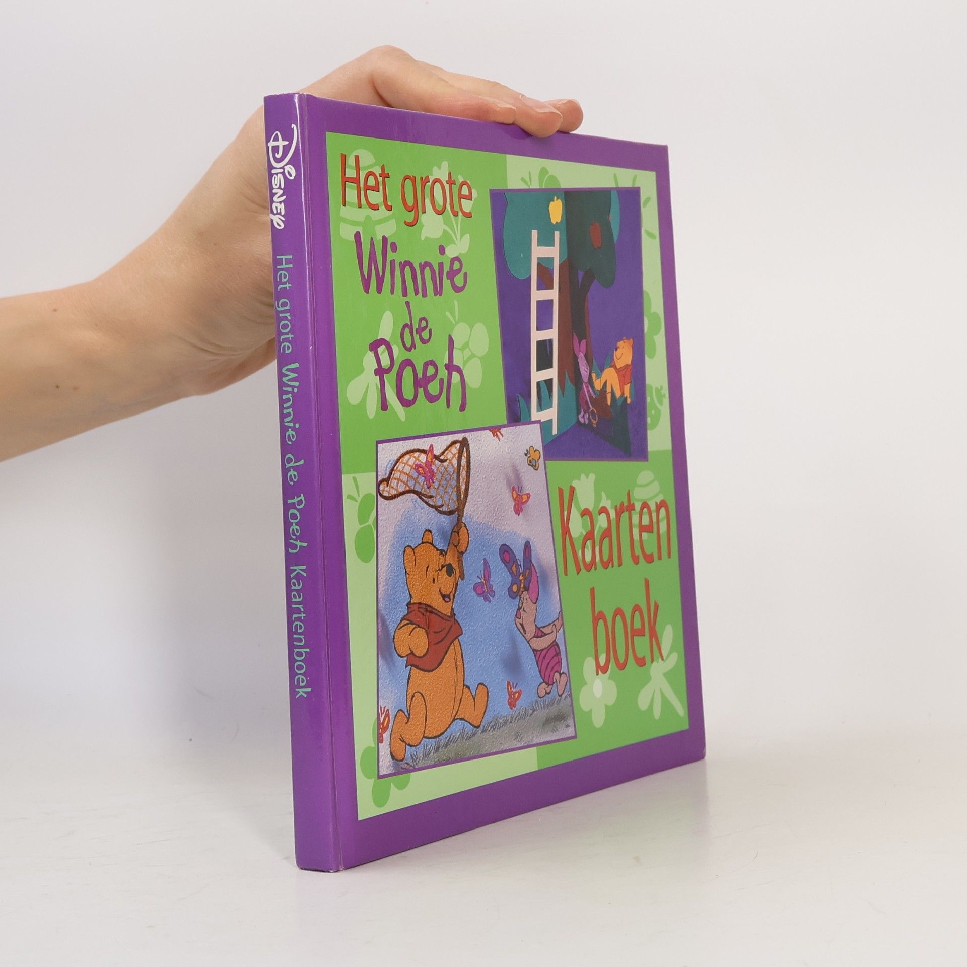 The Walt Disney Company Het grote Winnie de Poeh kaartenboek