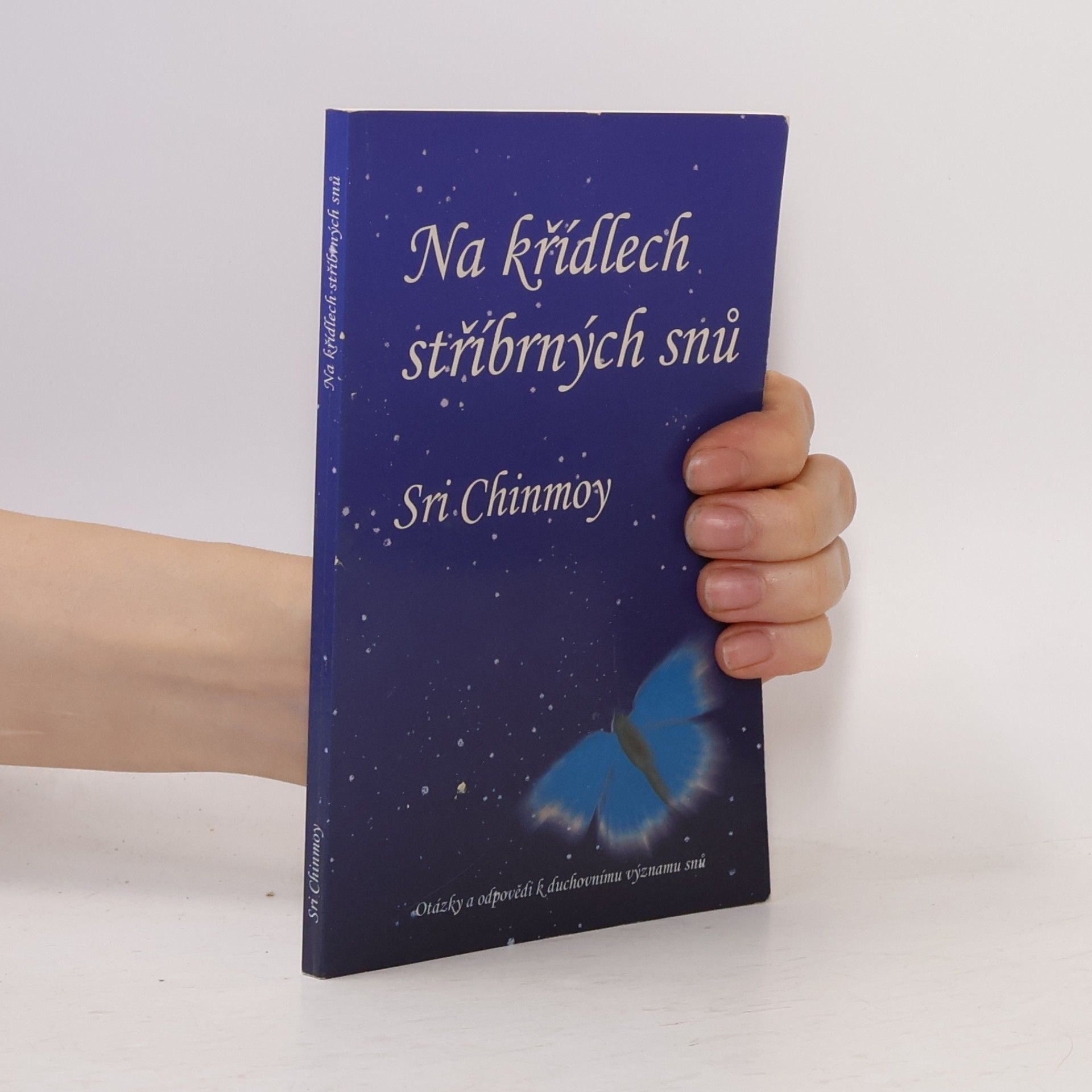 Sri Chinmoy Na křídlech stříbrných snů