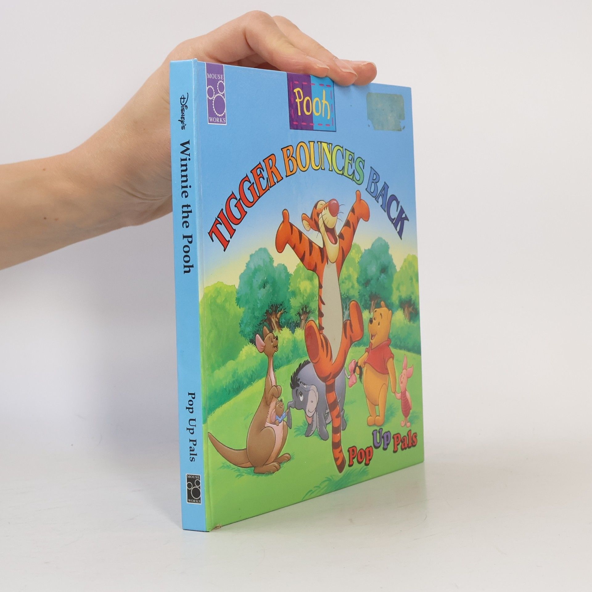 Walt Disney Company Disney's Winnie the Pooh: Tigger Bounces Back