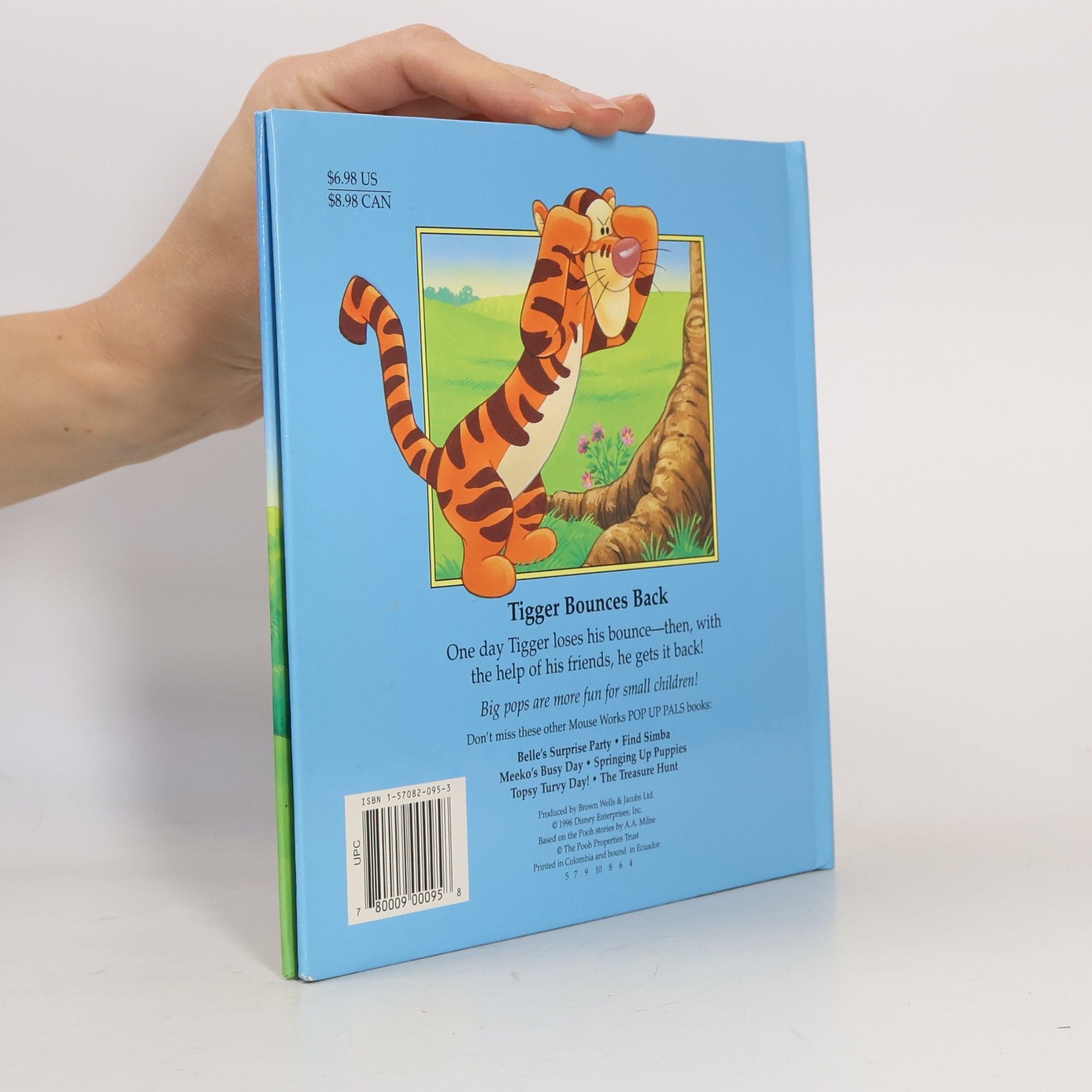 Walt Disney Company Disney's Winnie the Pooh: Tigger Bounces Back