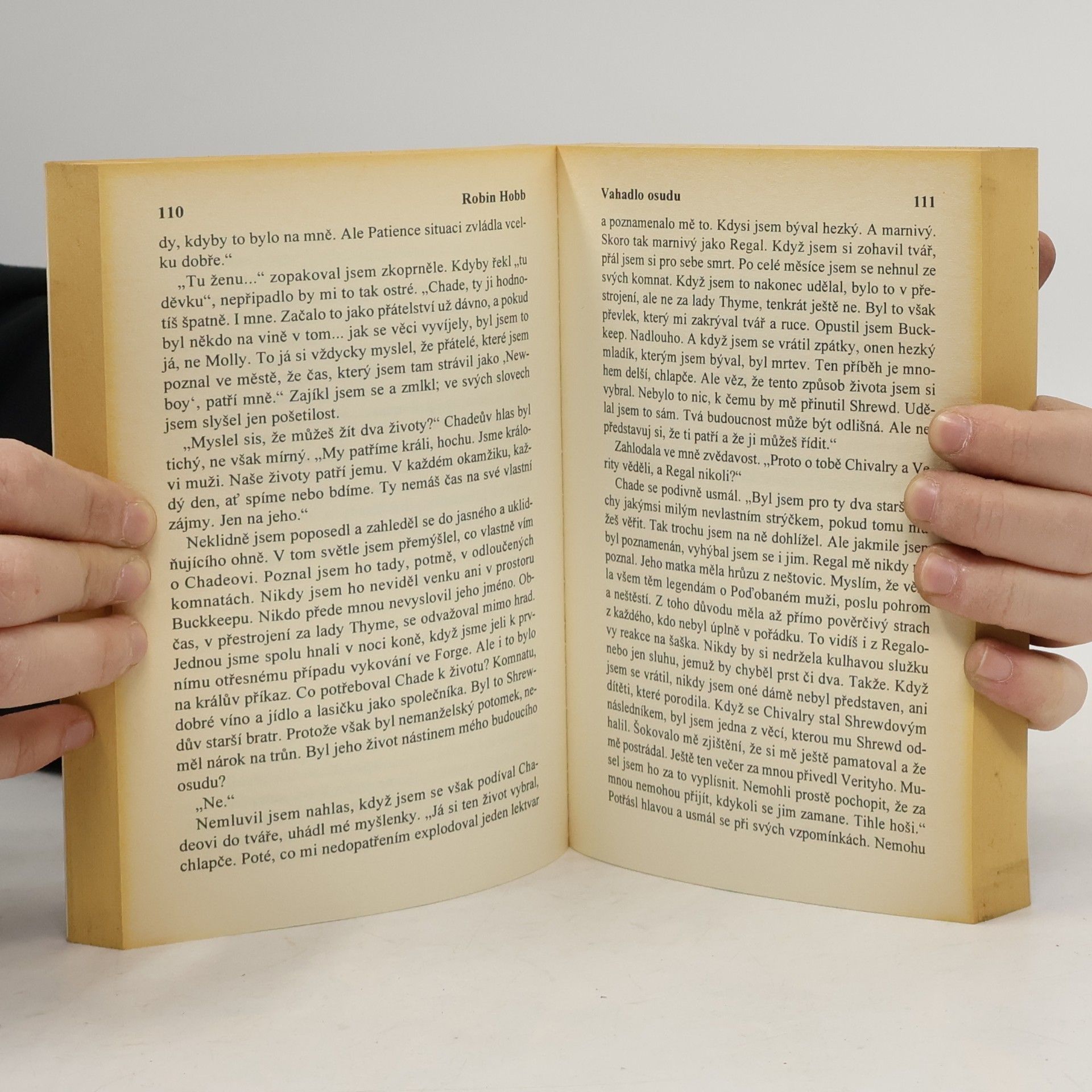 Robin Hobb Vahadlo osudu