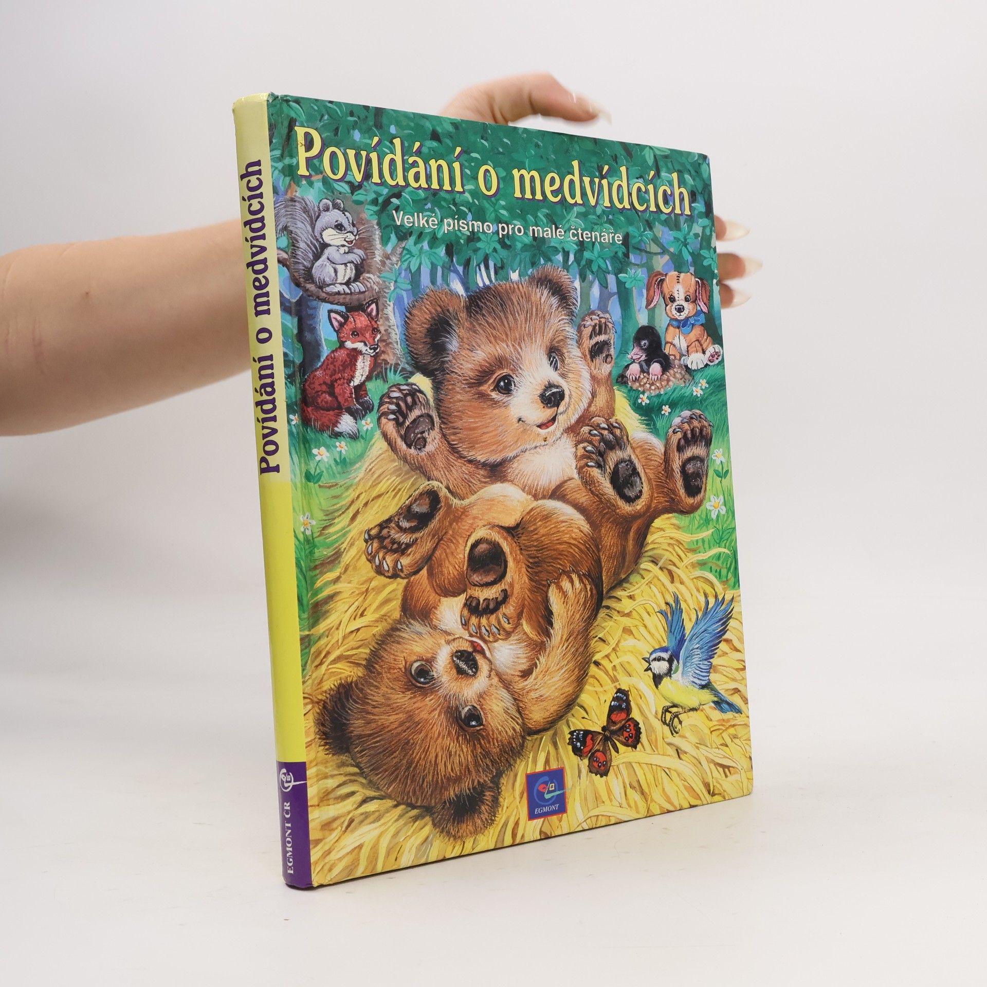 Povídání o medvídcích