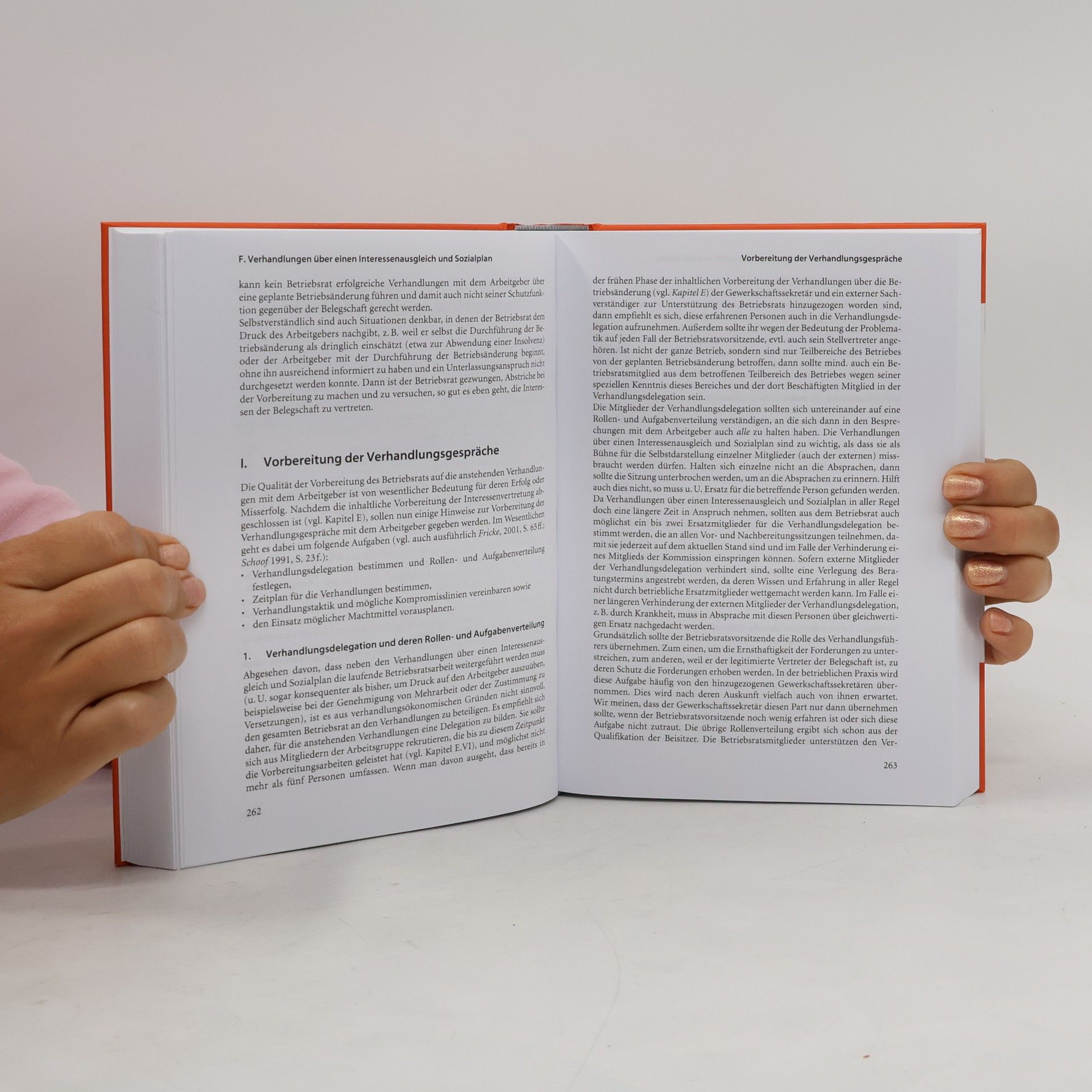 Nikolai Laßmann Handbuch Interessenausgleich und Sozialplan