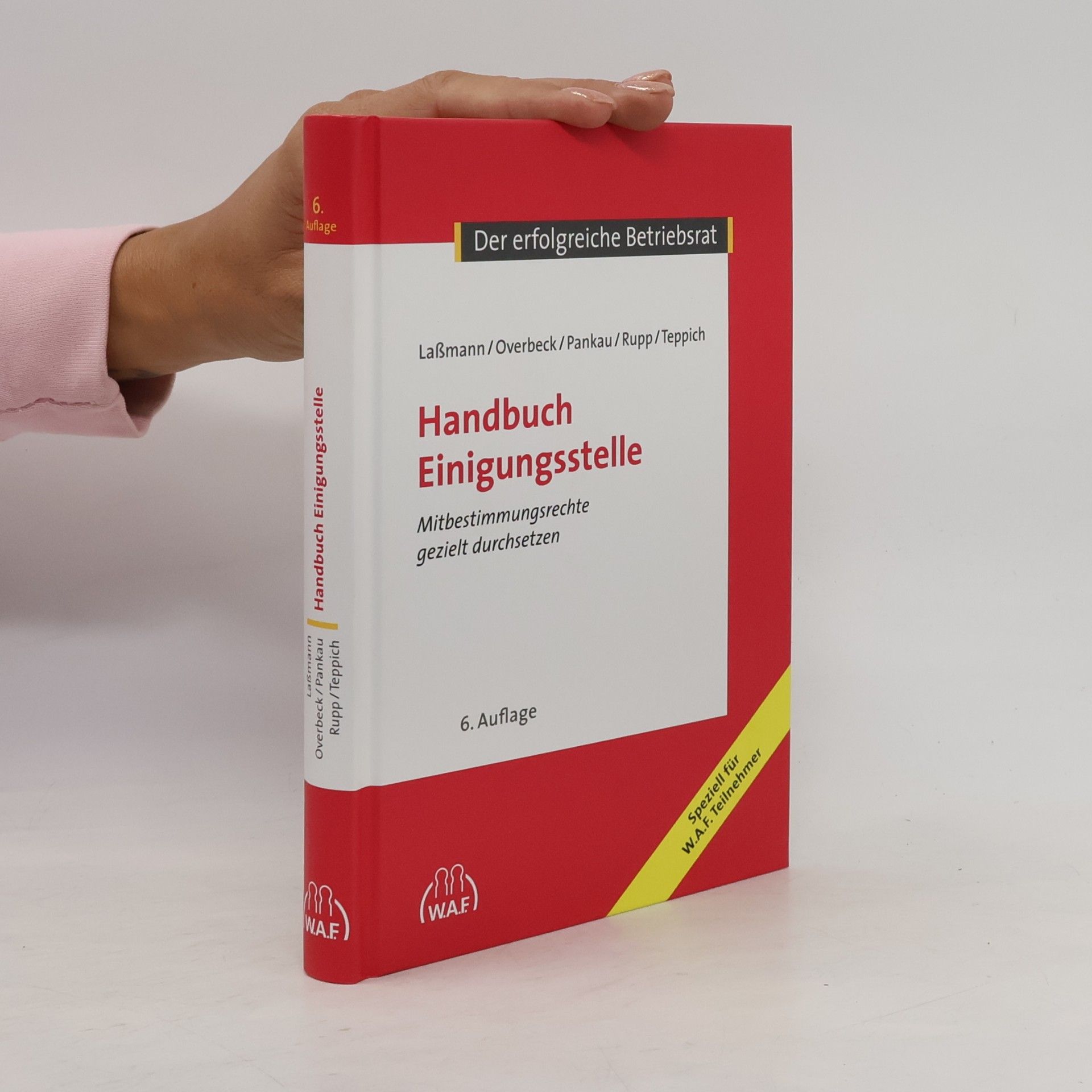 Nikolai Laßmann Handbuch Einigungsstelle