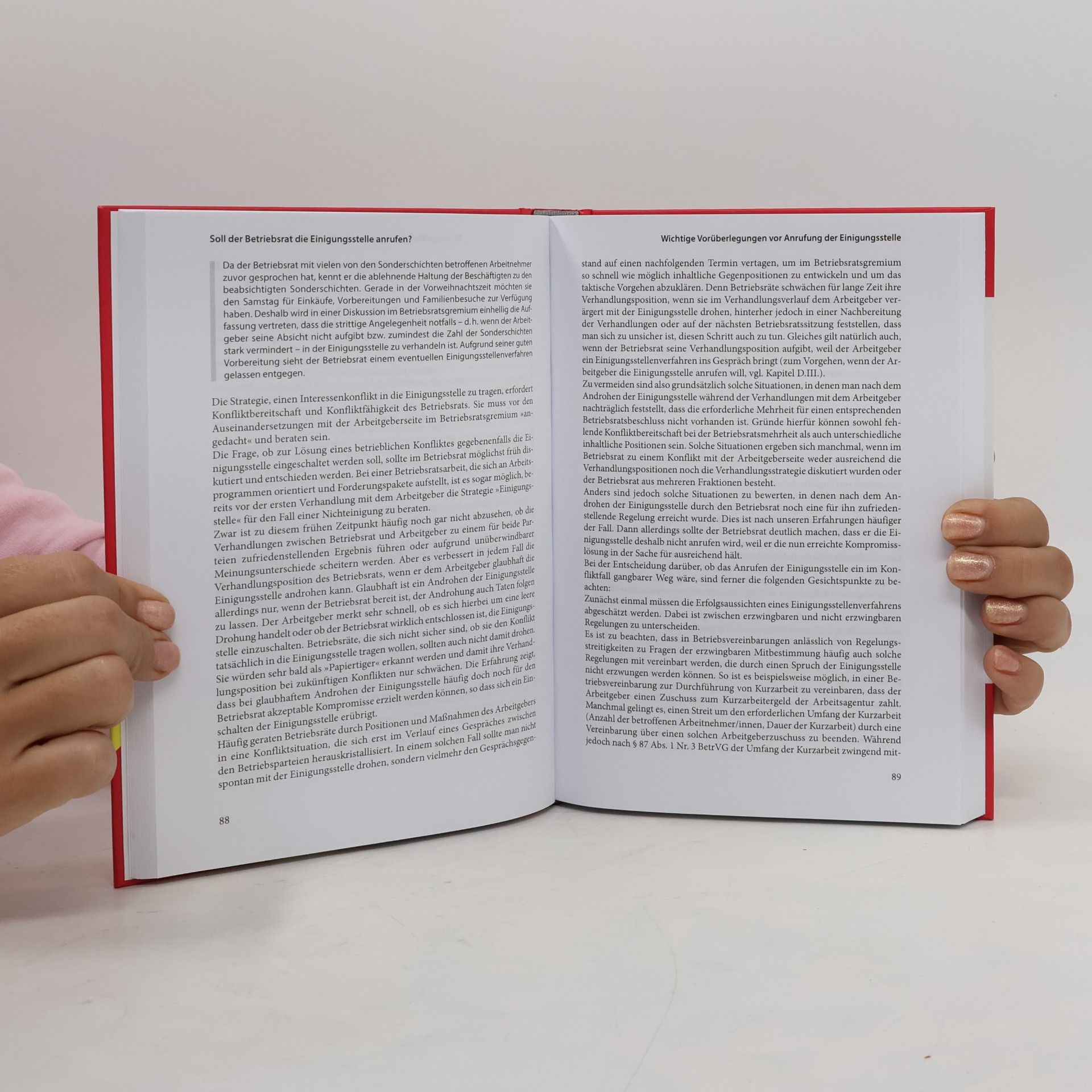 Nikolai Laßmann Handbuch Einigungsstelle