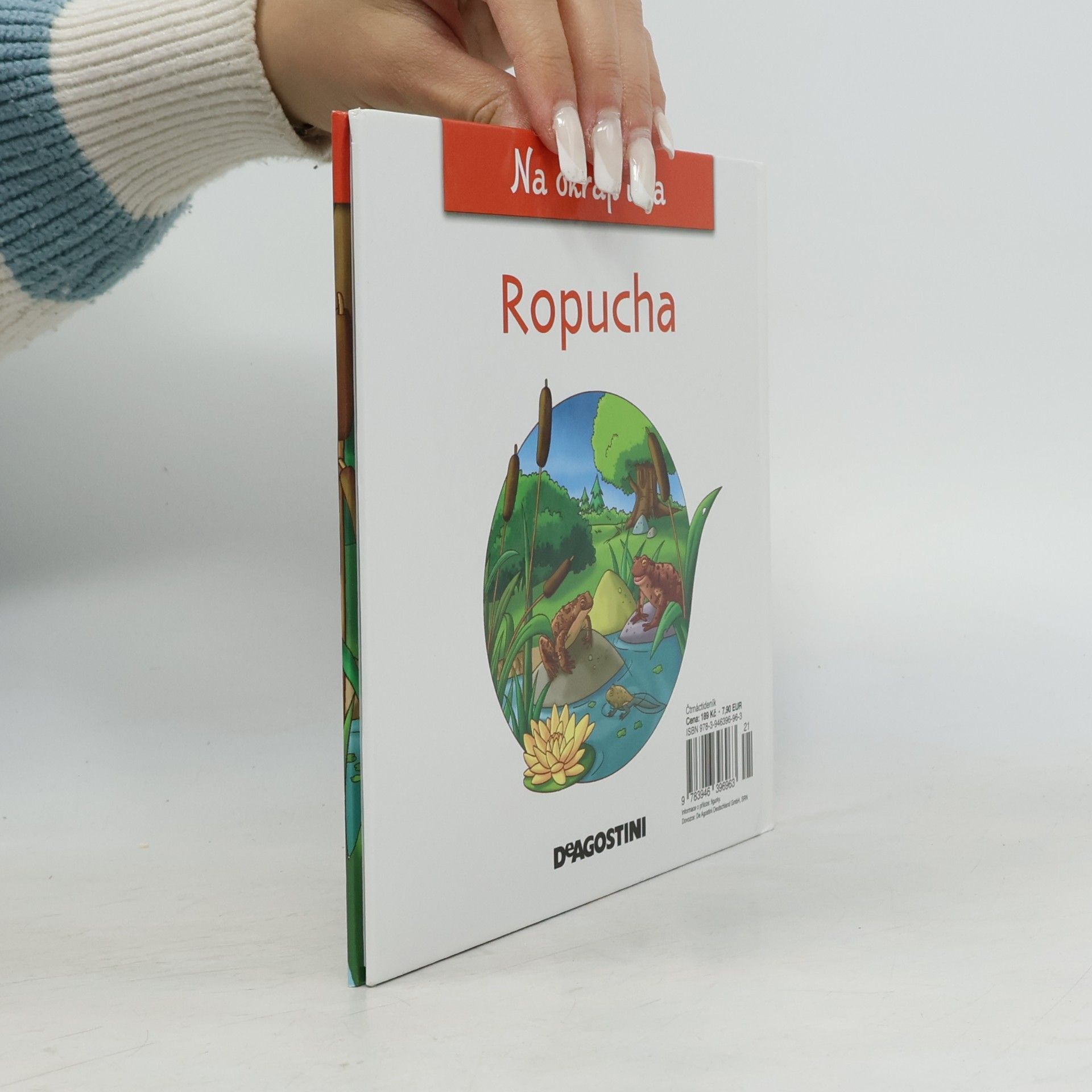 Kolektiv autorů Na okraji lesa 20. Ropucha