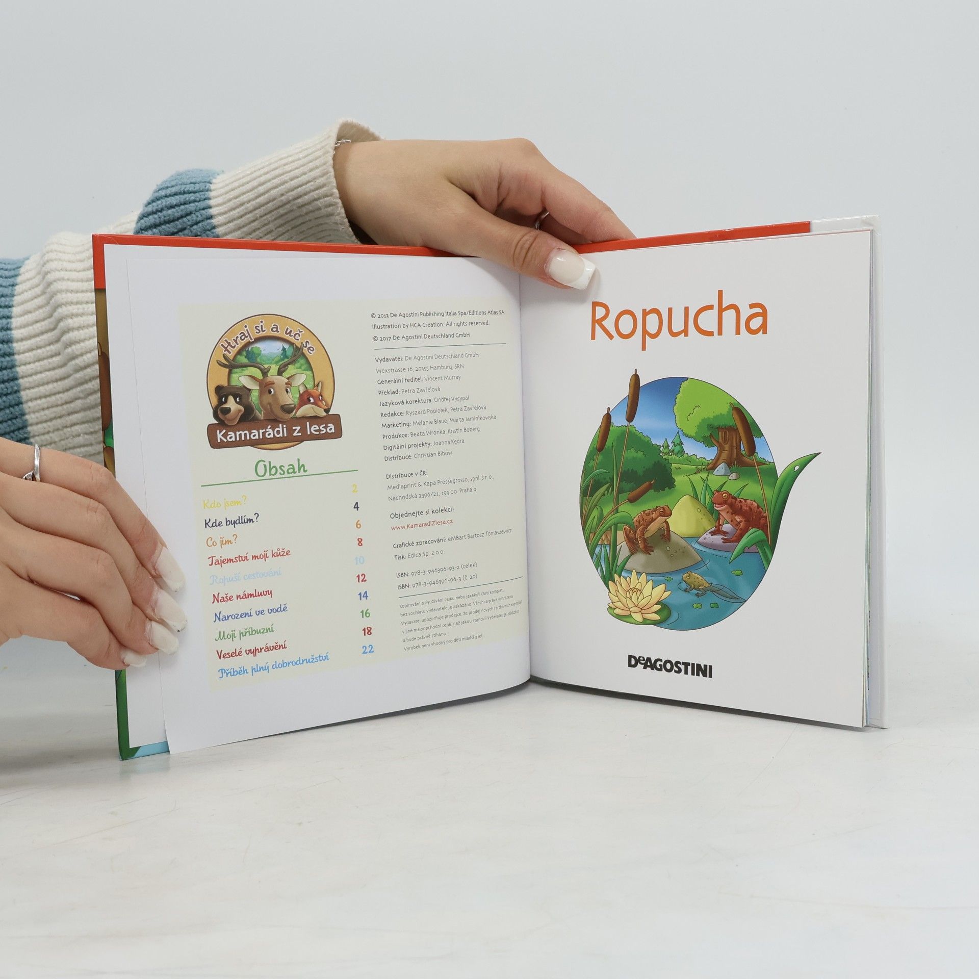 Kolektiv autorů Na okraji lesa 20. Ropucha