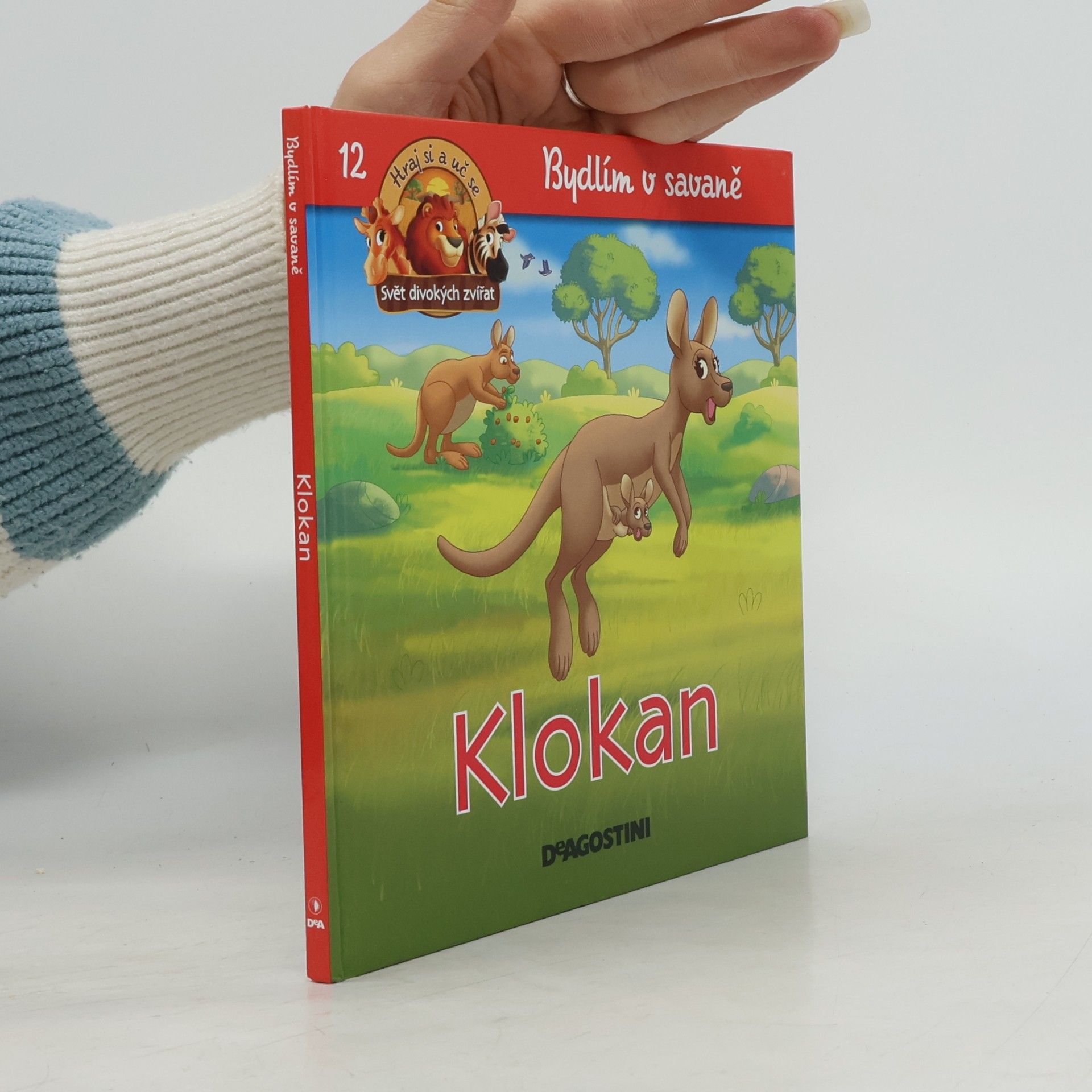 Kolektiv autorů Bydlím v savaně 12. Klokan