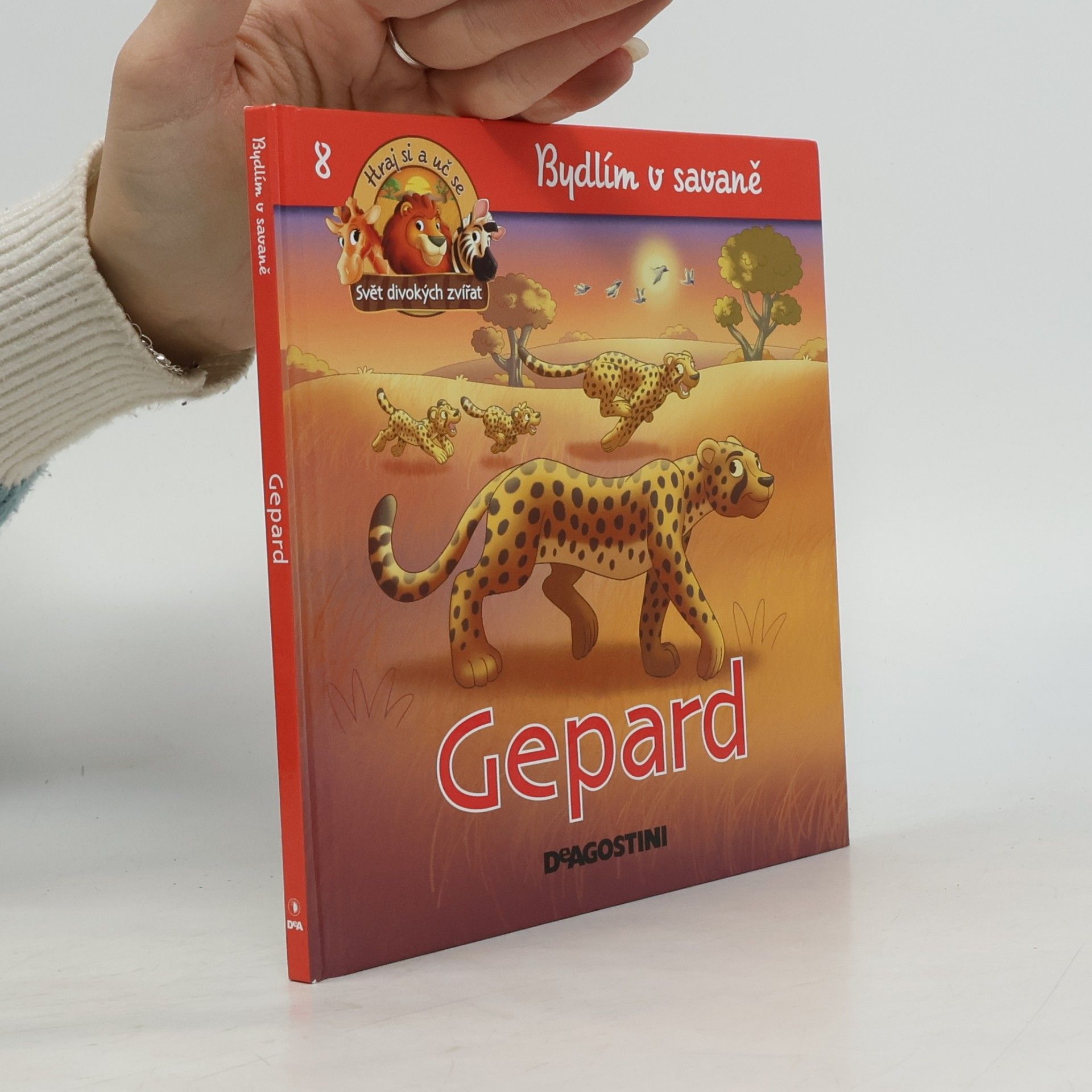 Bydlím v savaně 8. Gepard