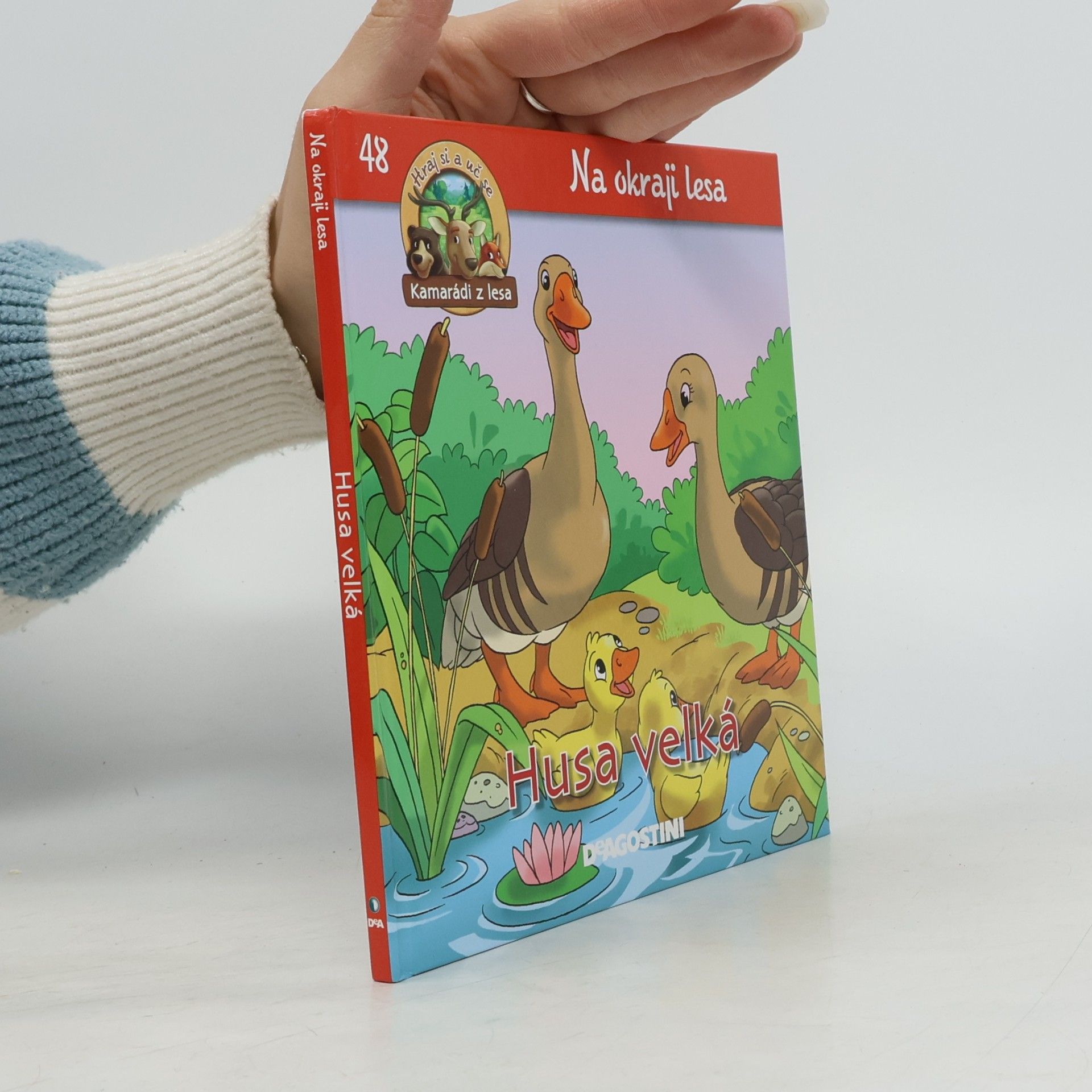 Kolektív autorov Na okraji lesa 48. Husa velká