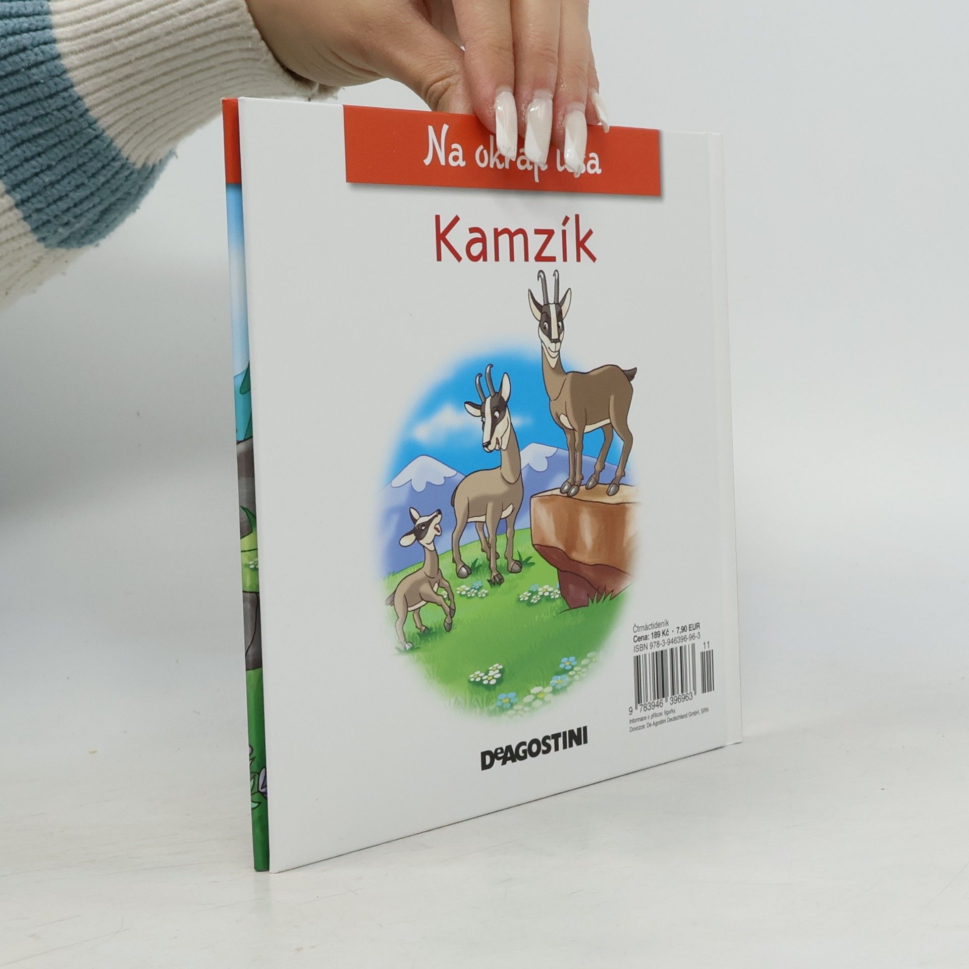 Various authors Na okraji lesa 41. Kamzík