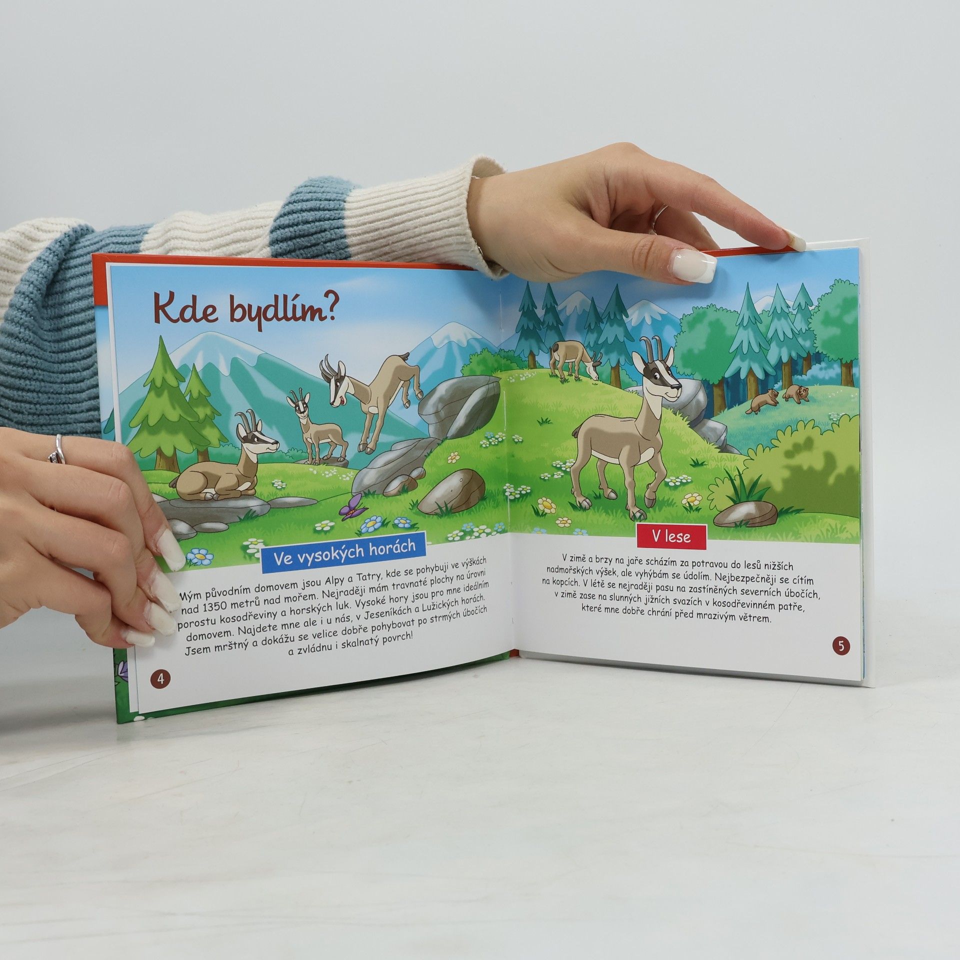 Various authors Na okraji lesa 41. Kamzík