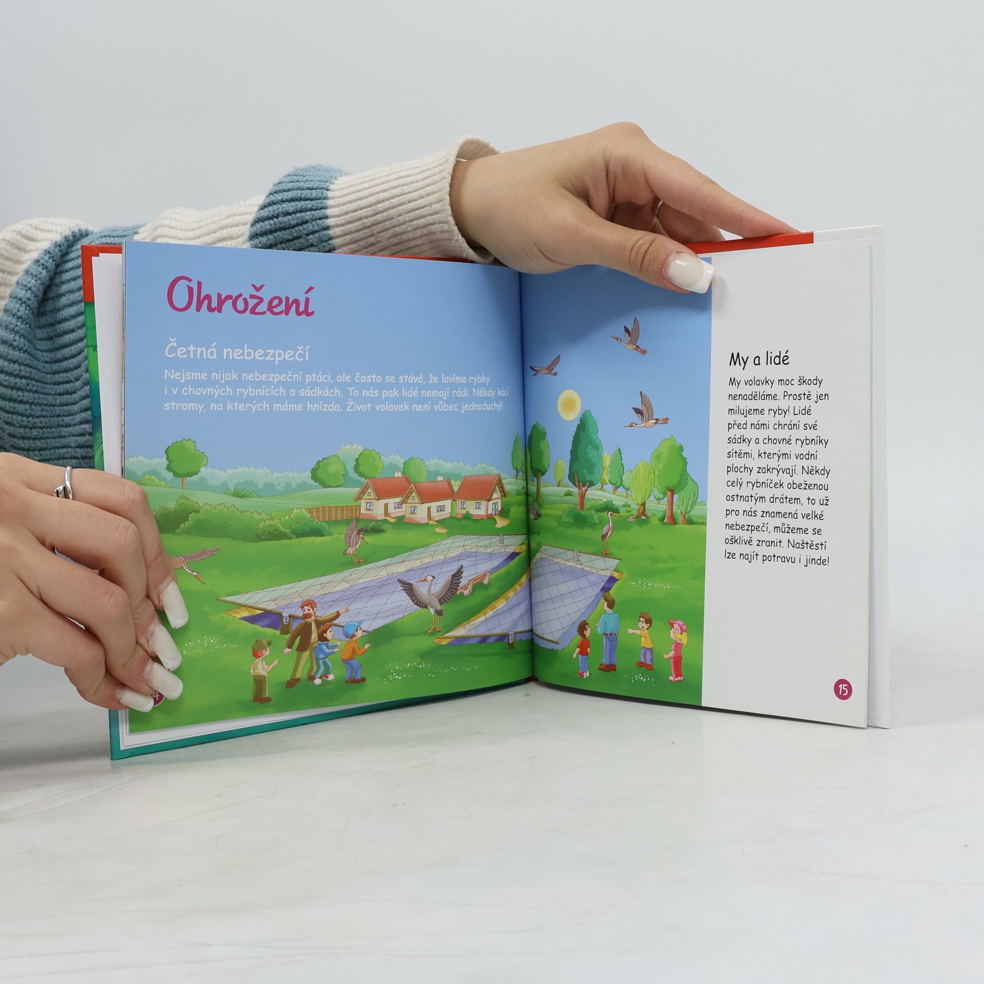 Various authors Na okraji lesa 63. Volavka
