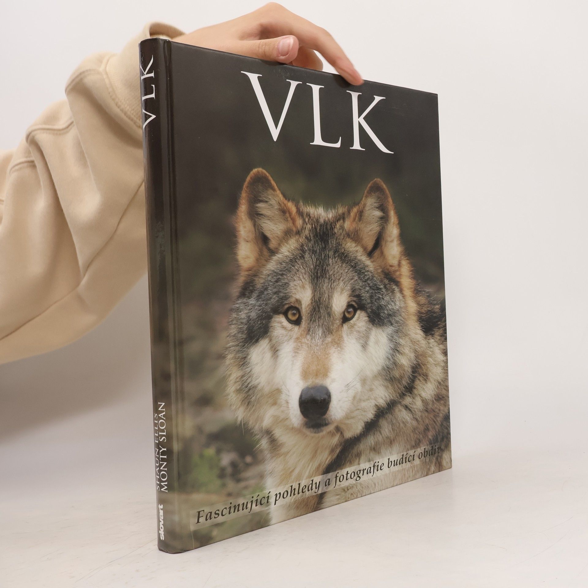 Shaun Ellis Vlk: Fascinující pohledy a fotografie budící obdiv