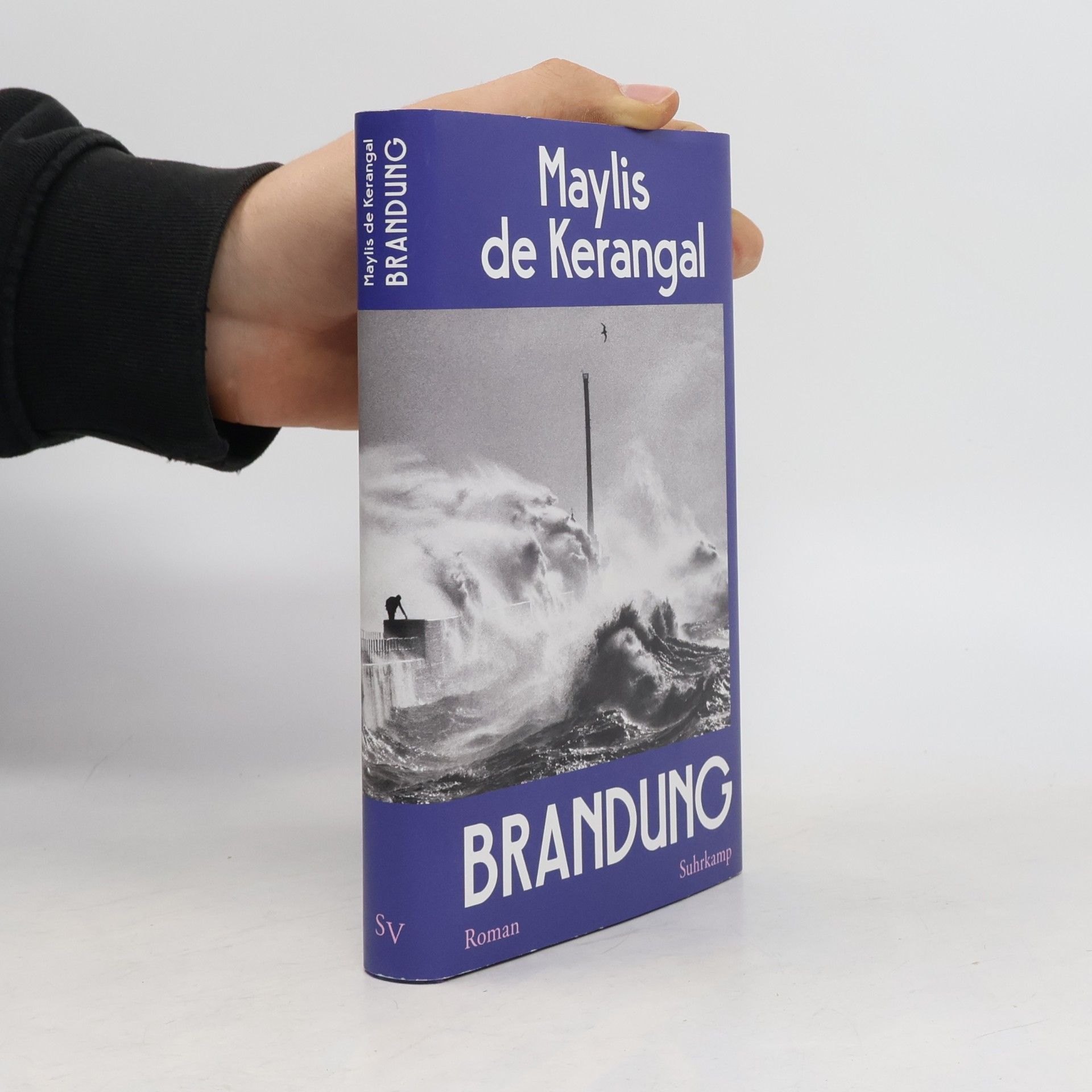 Maylis de Kerangal Brandung