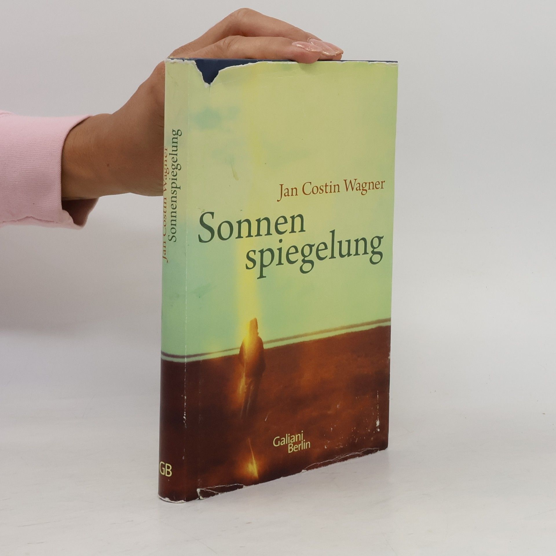 Jan Costin Wagner Sonnenspiegelung