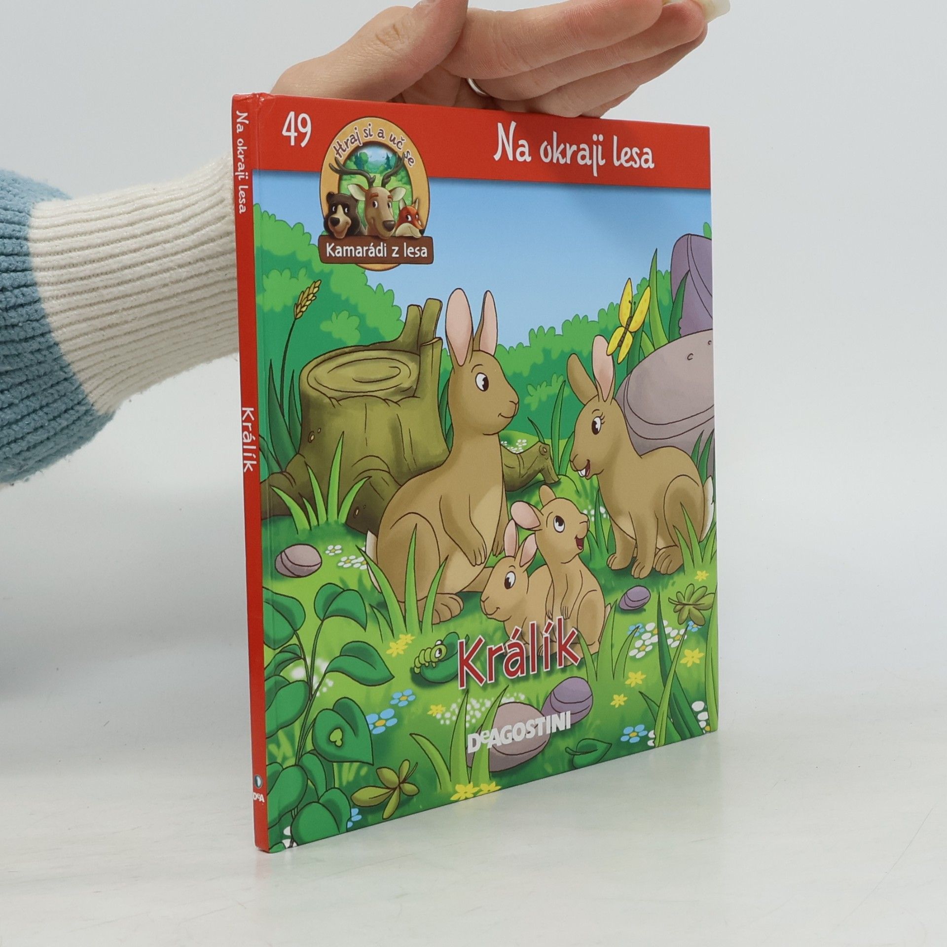 Kolektív autorov Na okraji lesa 49. Králík