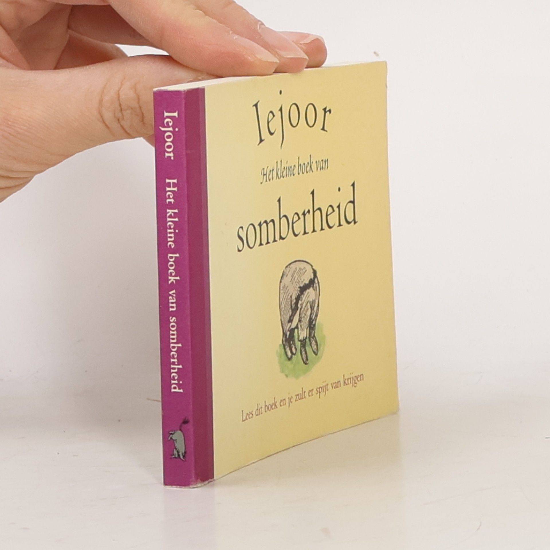 Kolektiv autorů Iejoor, het kleine boek van somberheid
