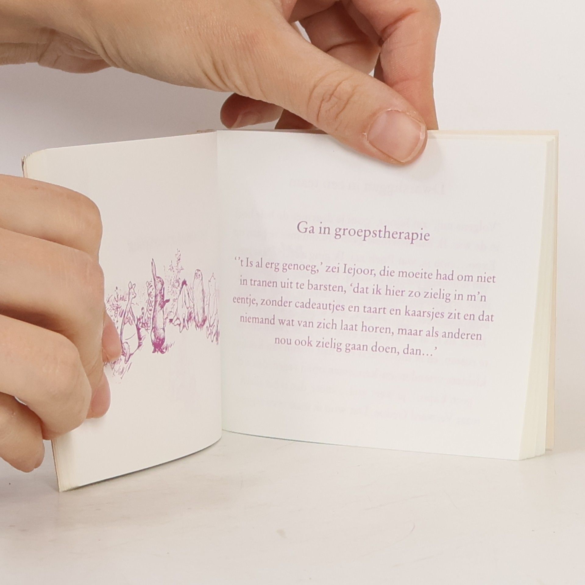 Iejoor, het kleine boek van somberheid