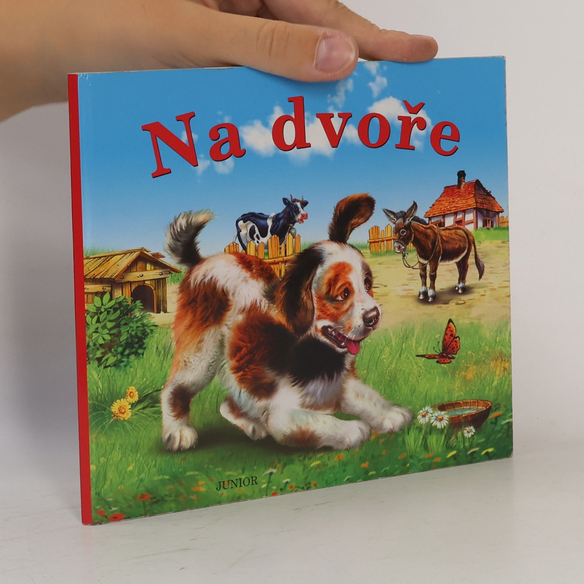 Zuzana Pospíšilová Na dvoře