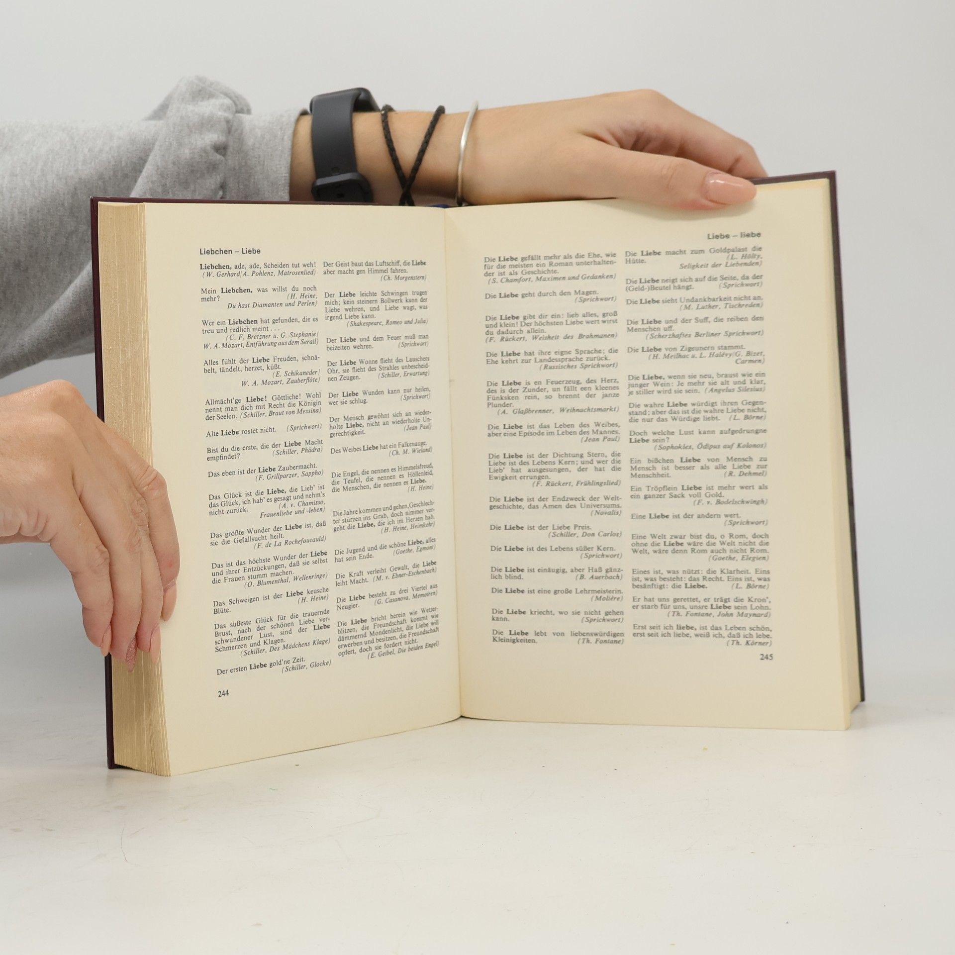 Gerhard Hellwig Das grosse Buch der Zitate
