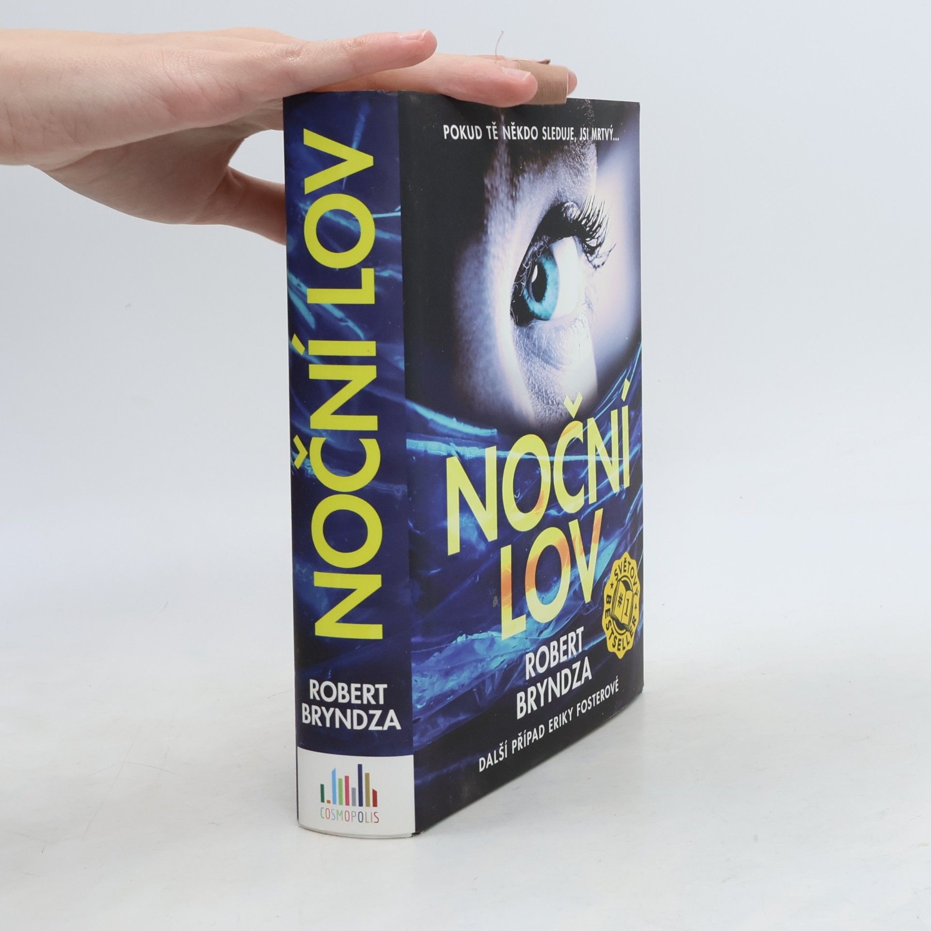 Robert Bryndza Noční lov