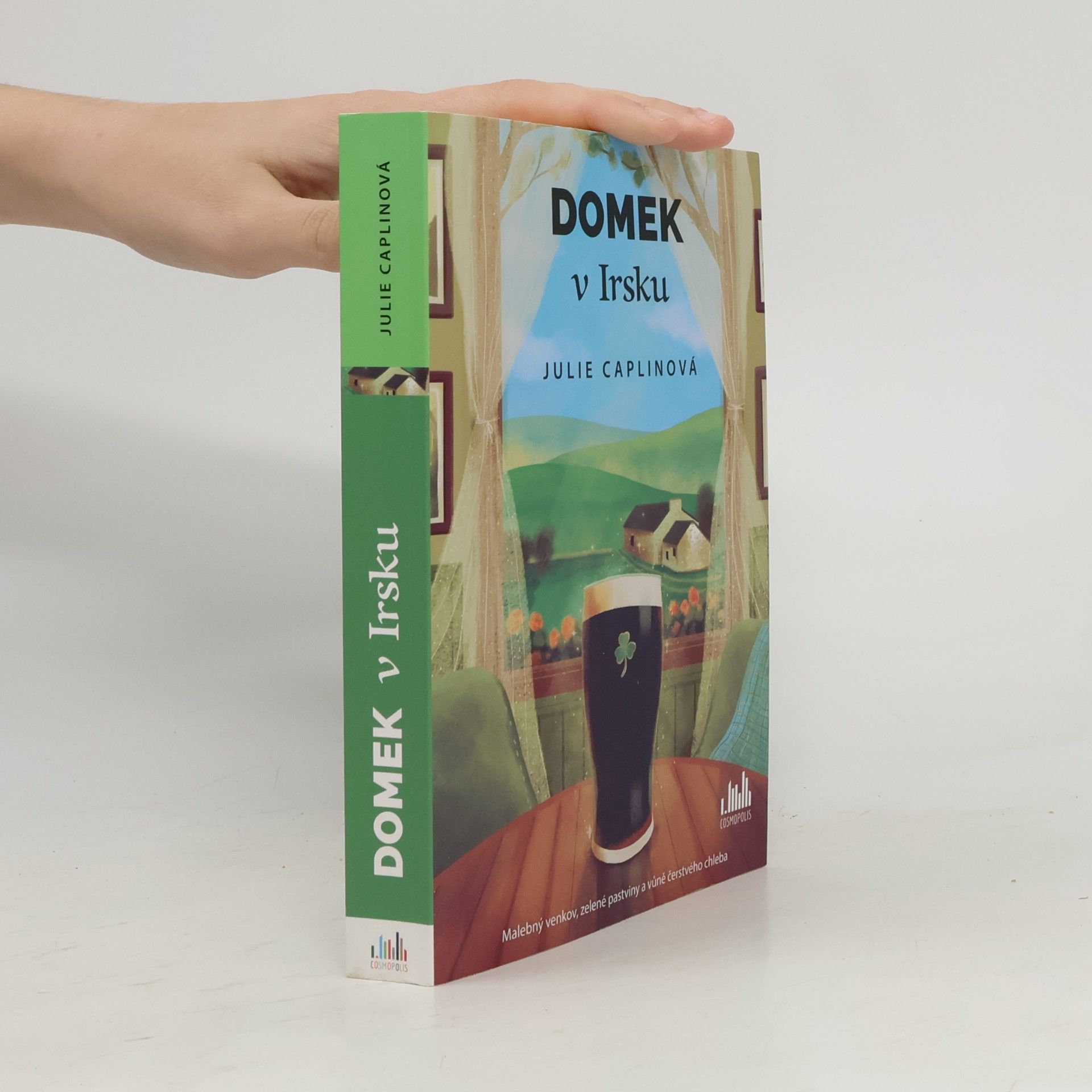 Julie Caplin Domek v Irsku