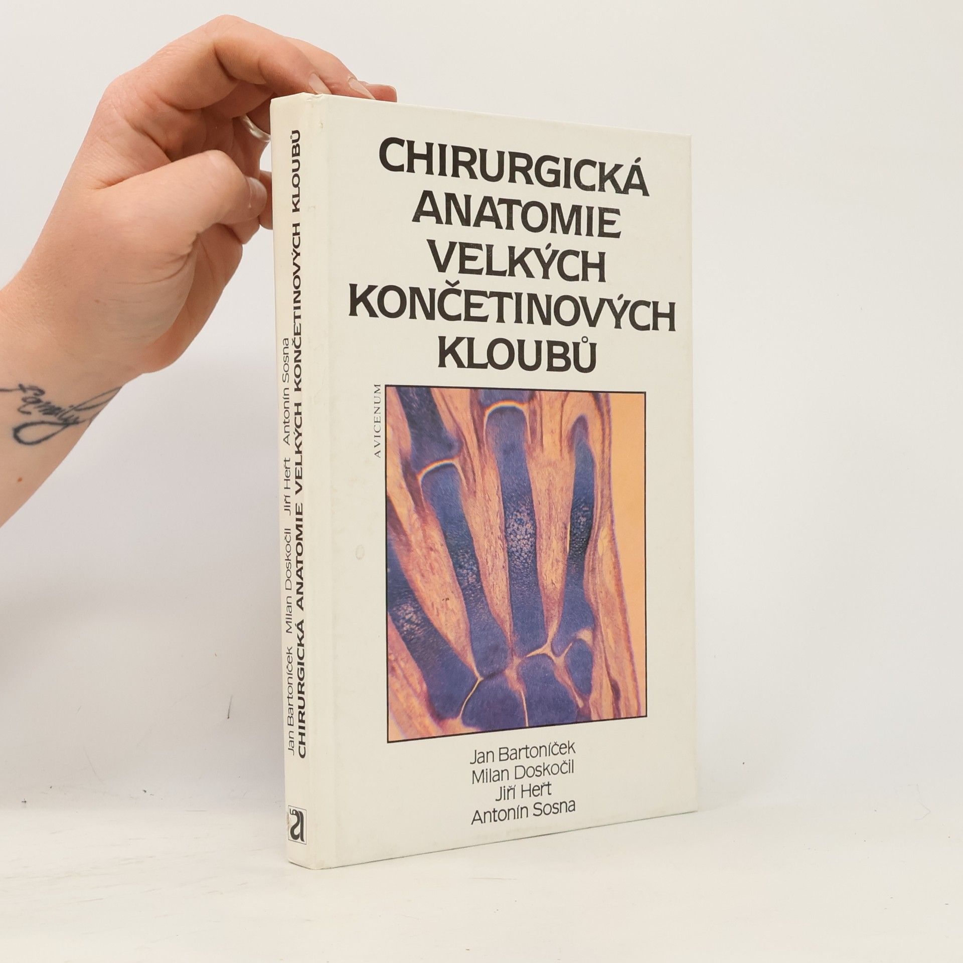 Jan Bartoníček Chirurgická anatomie velkých končetinových kloubů