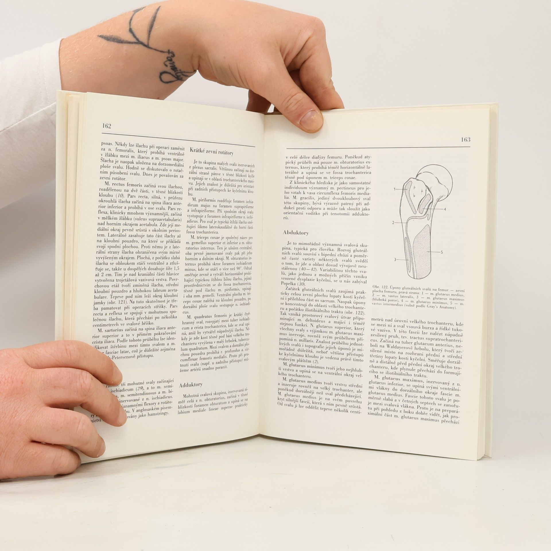 Jan Bartoníček Chirurgická anatomie velkých končetinových kloubů