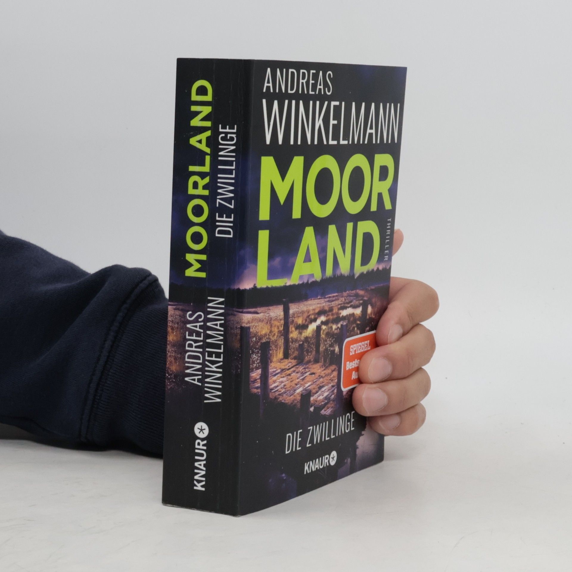 Hendrik Winter Moorland. Die Zwillinge