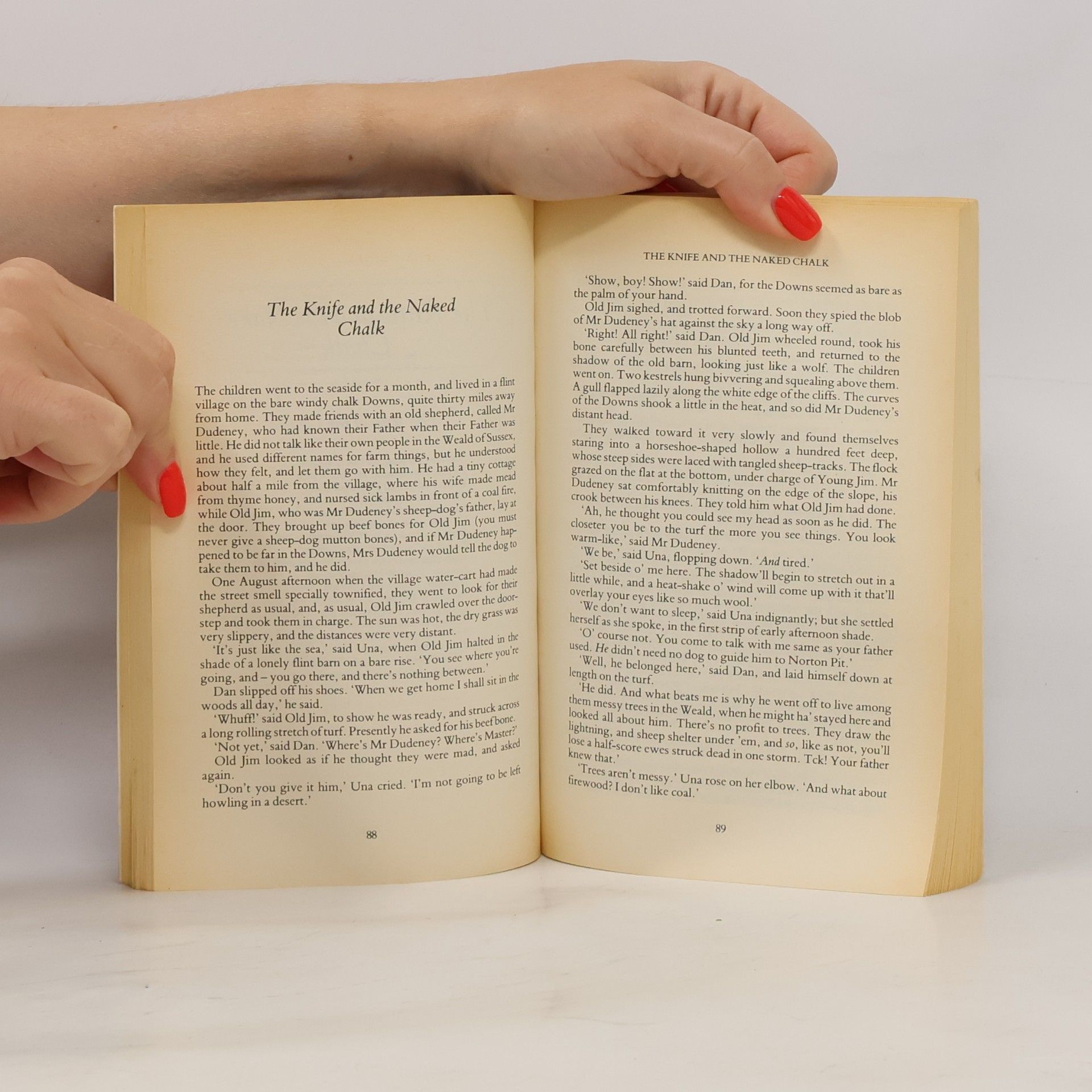 Rudyard Kipling Rewards and Fairies