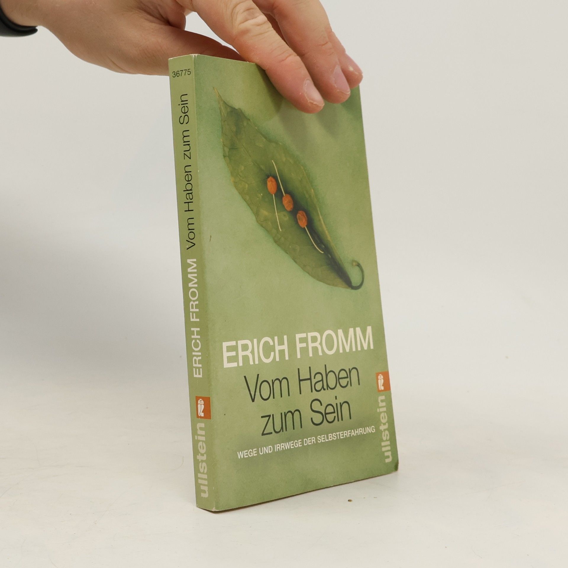 Erich Fromm Vom Haben zum Sein