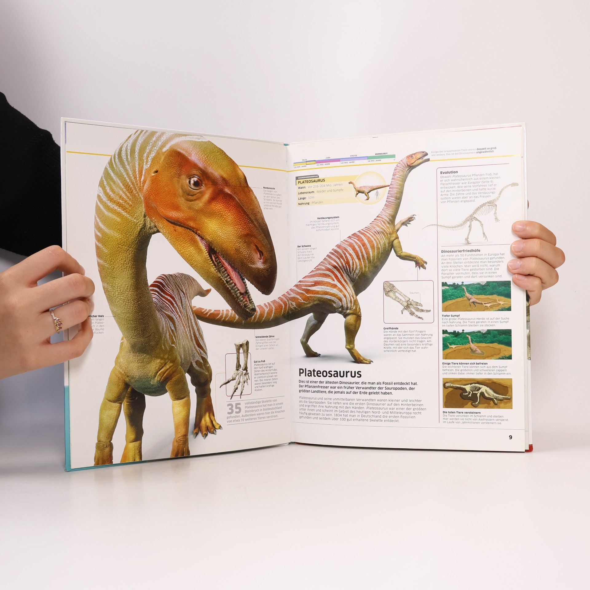 Dustin Growick Dino-Parade von A bis Z