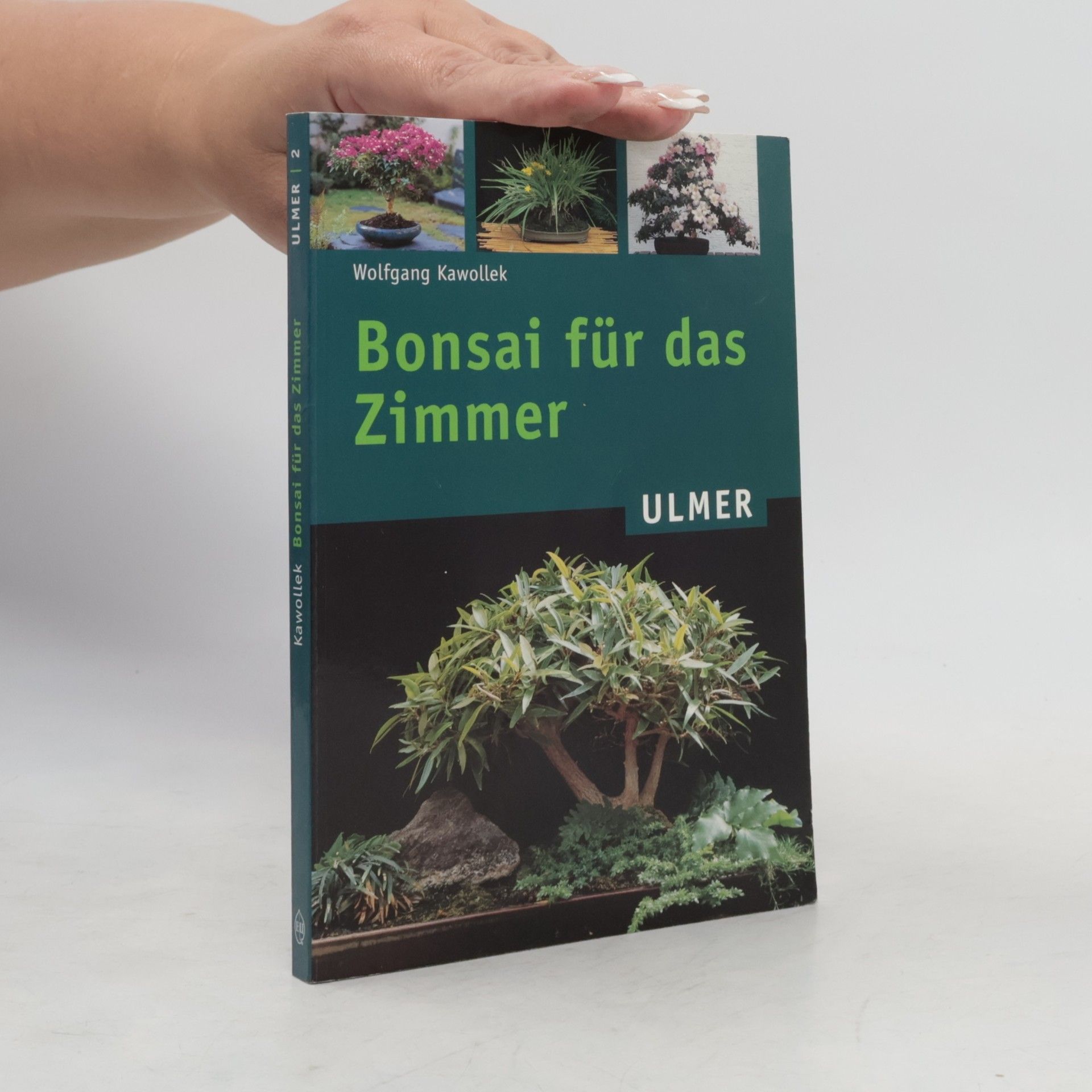 Wolfgang Kawollek Bonsai für das Zimmer